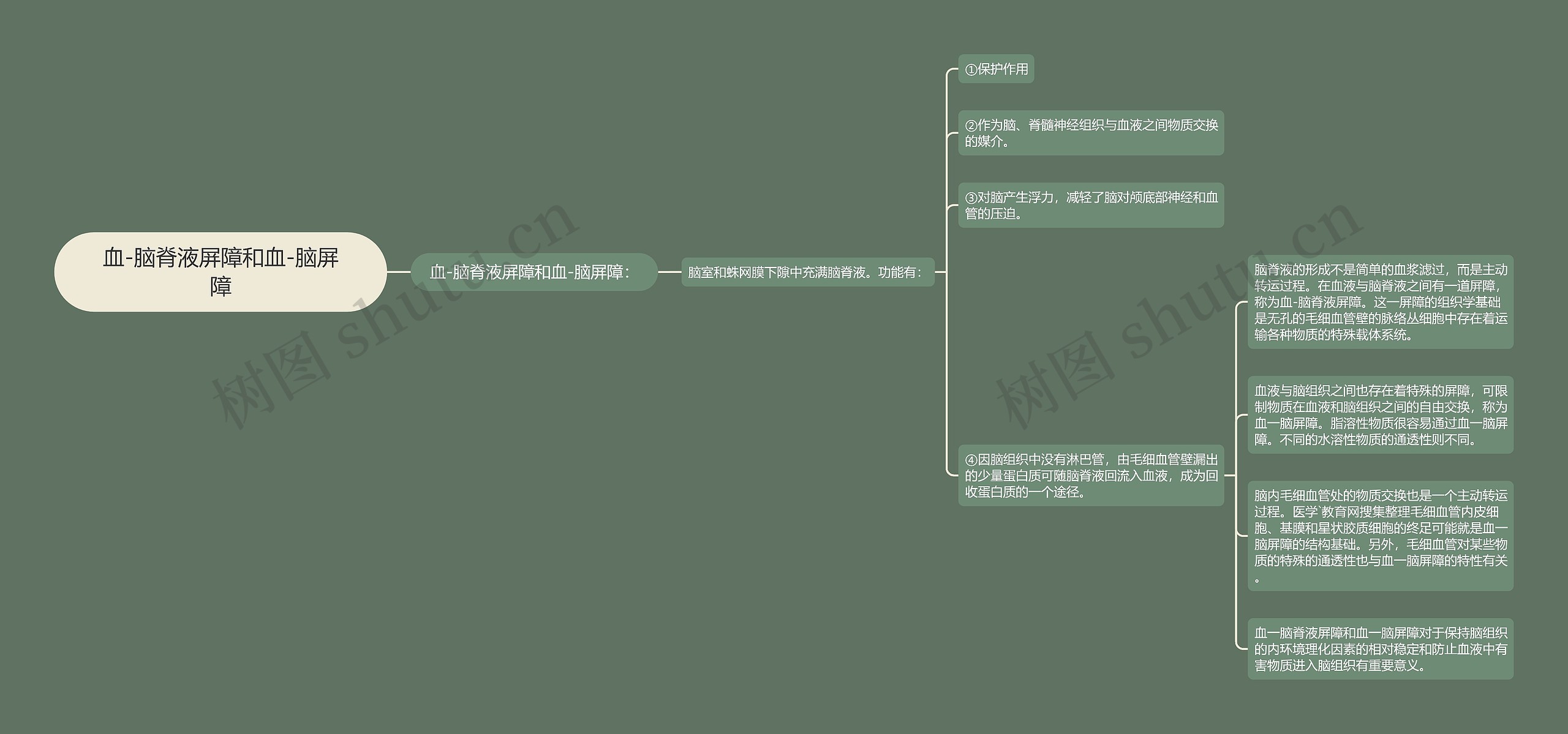 血-脑脊液屏障和血-脑屏障 血-脑脊液屏障和血-脑屏障