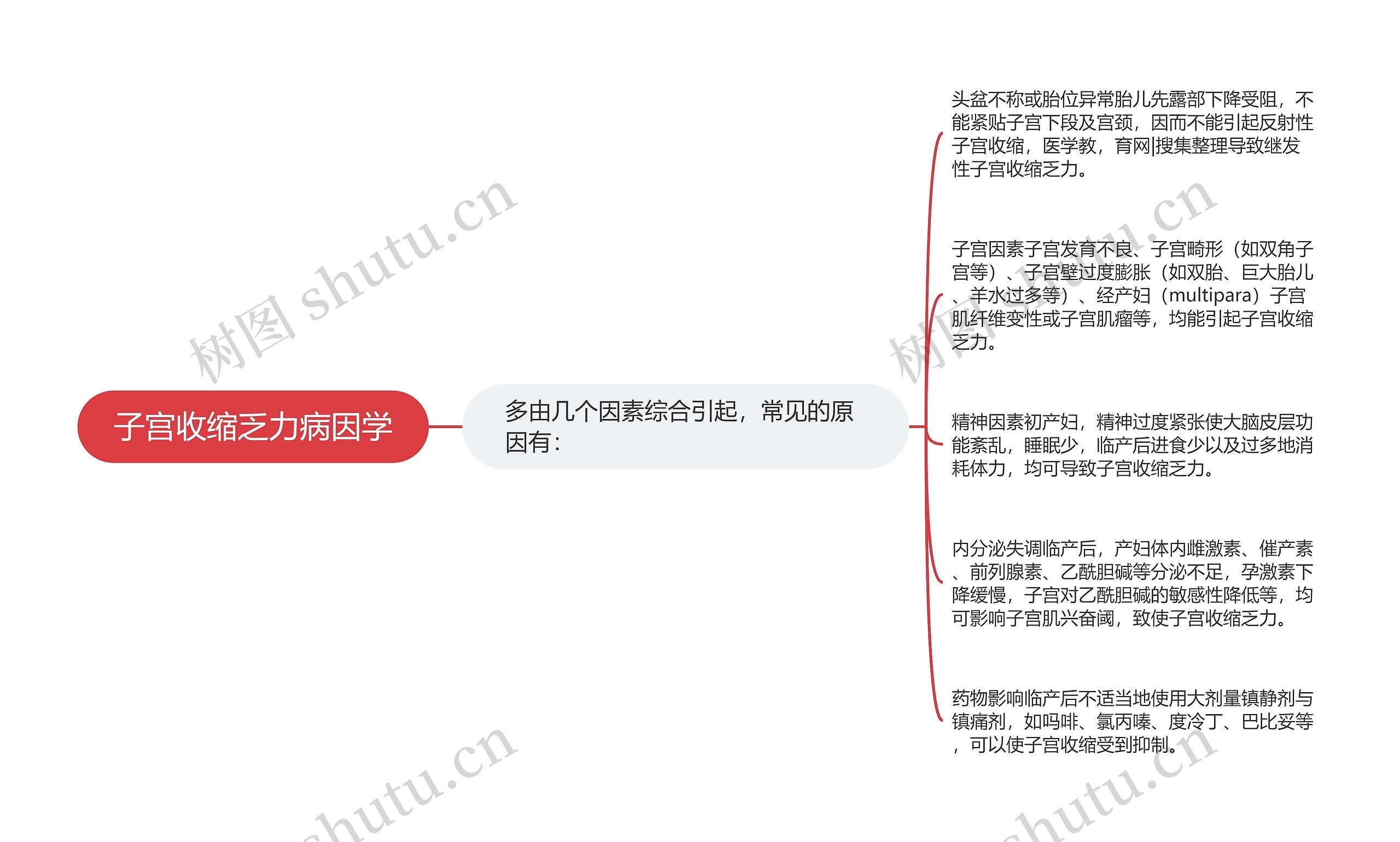 子宫收缩乏力病因学