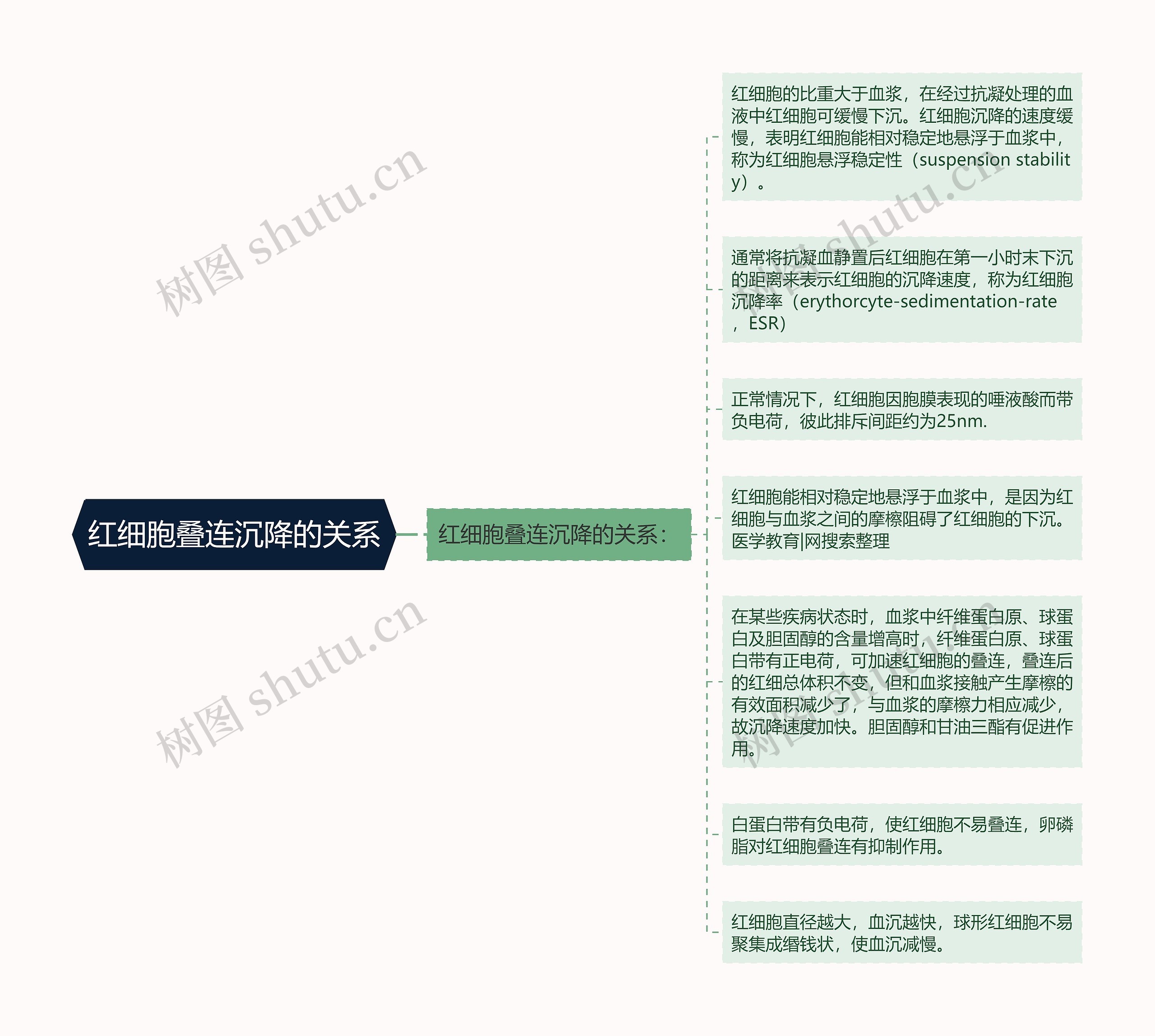 红细胞叠连沉降的关系