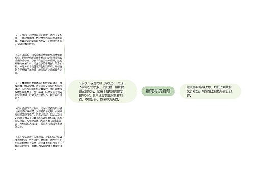 额顶枕区解剖