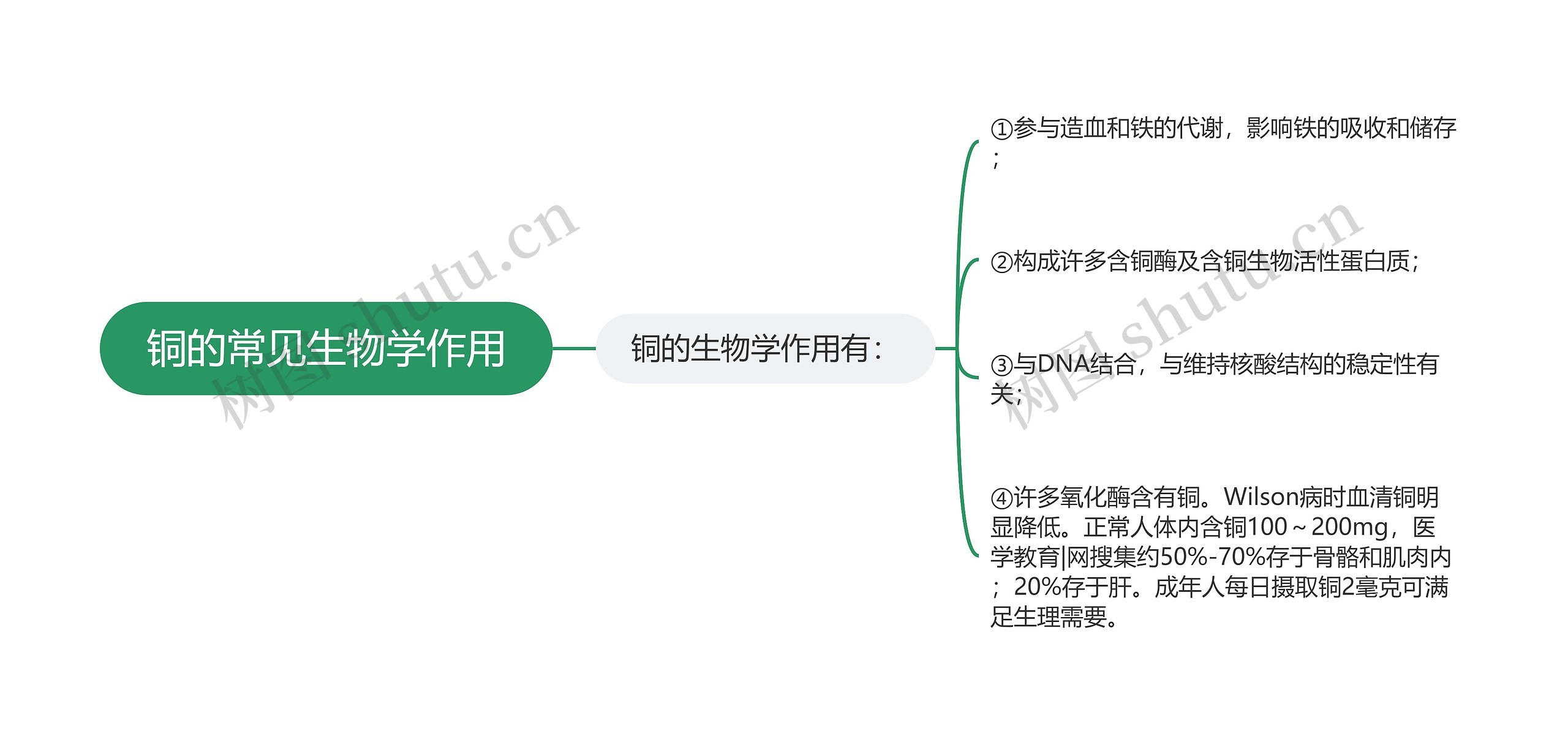 铜的常见生物学作用思维导图