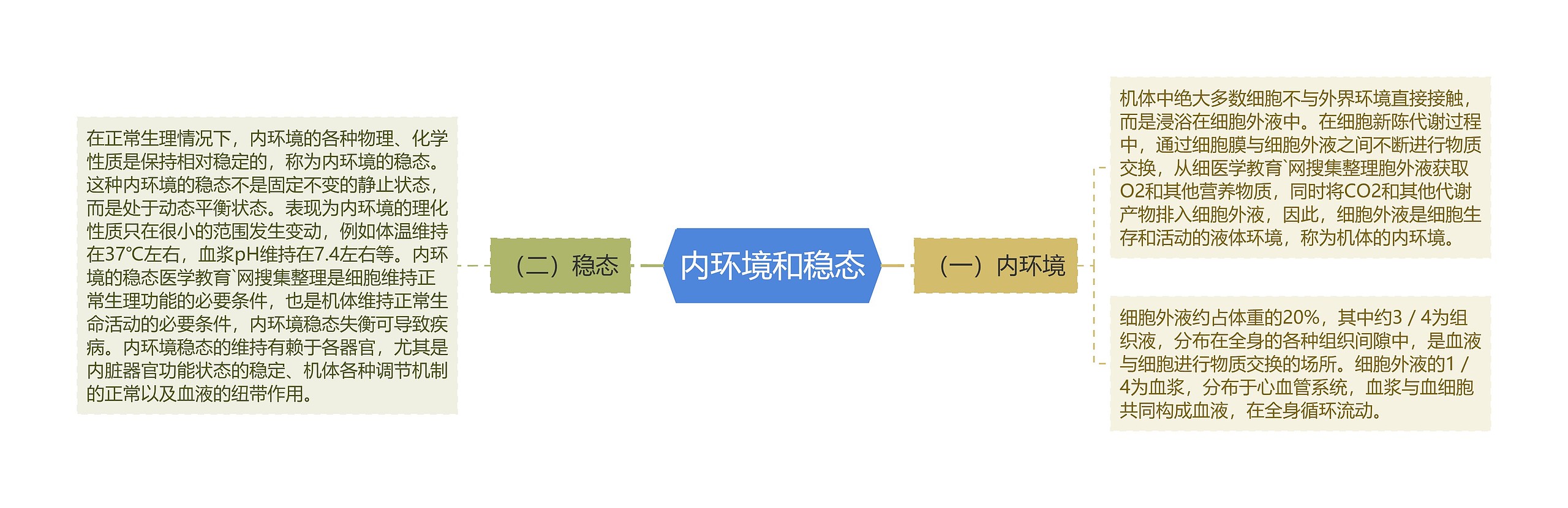 内环境和稳态 内环境和稳态