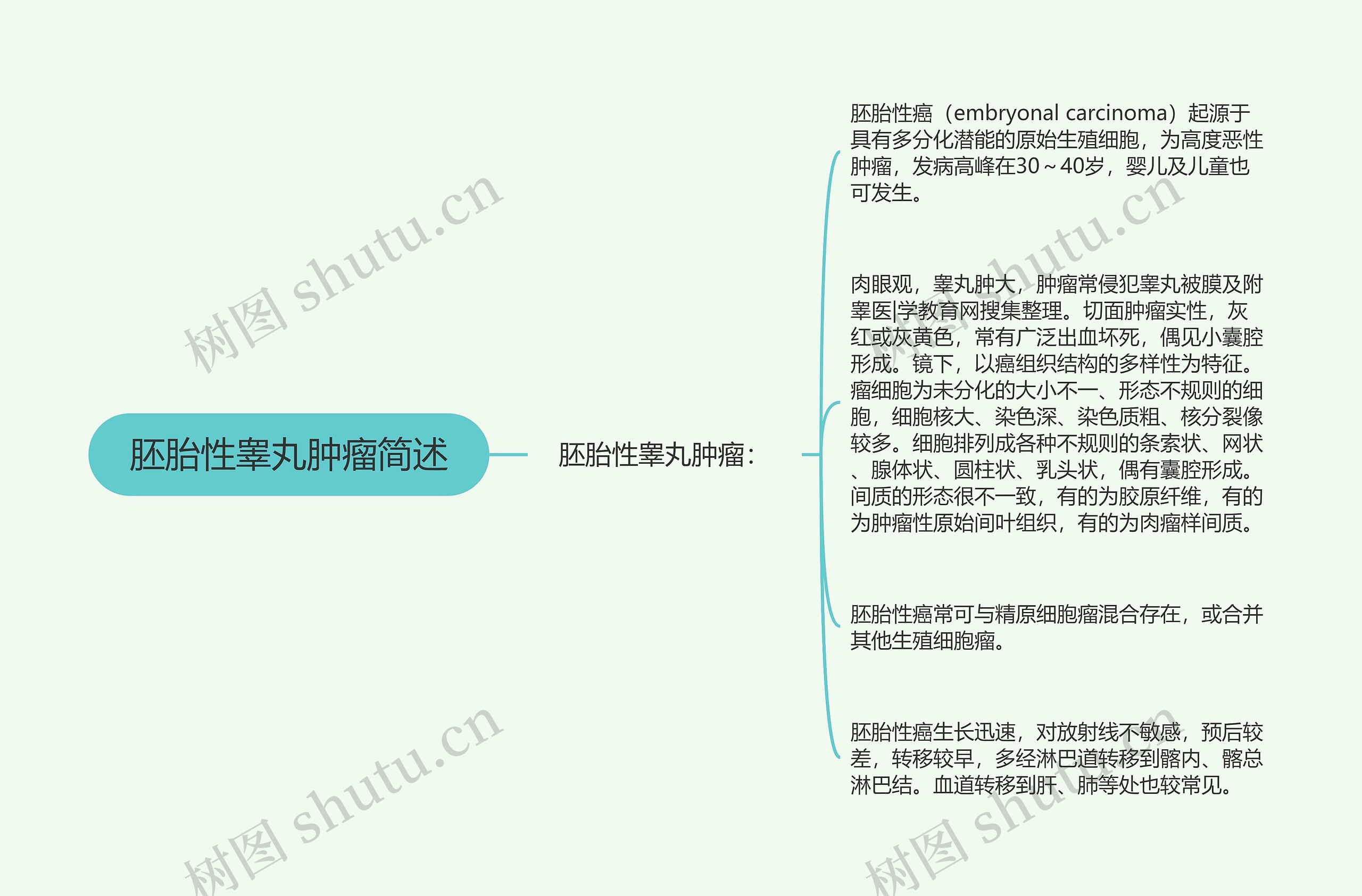 胚胎性睾丸肿瘤简述思维导图