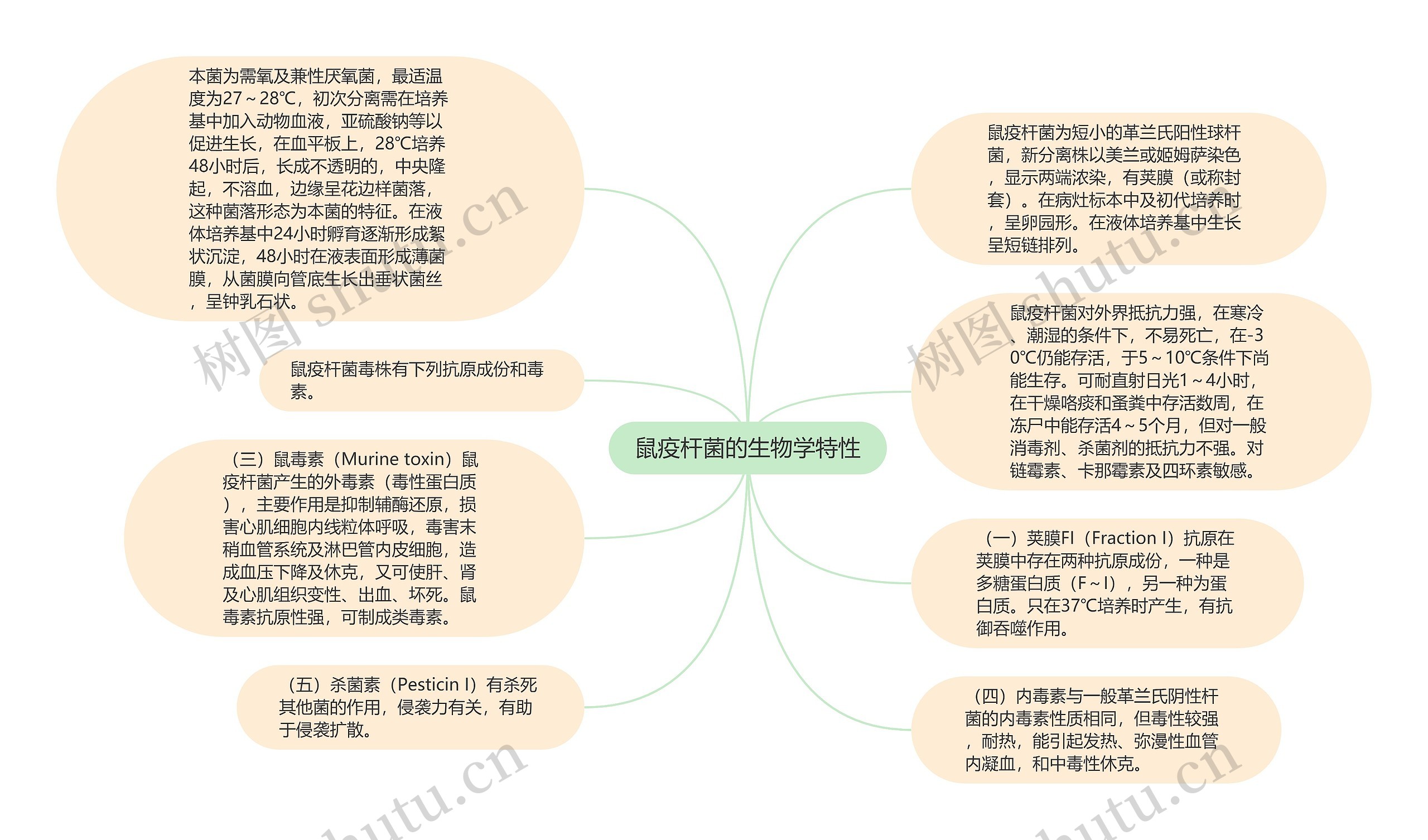 鼠疫杆菌的生物学特性思维导图