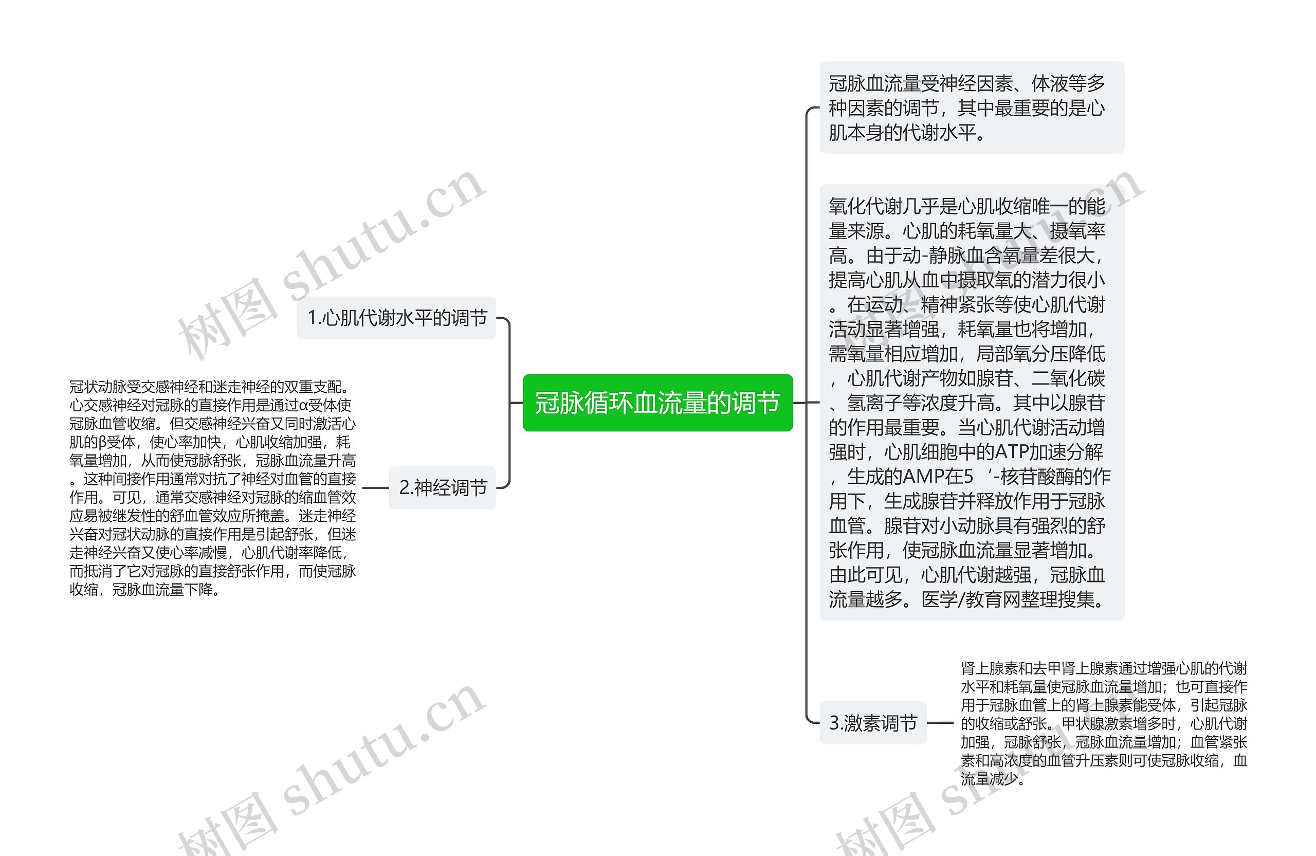 冠脉循环血流量的调节思维导图