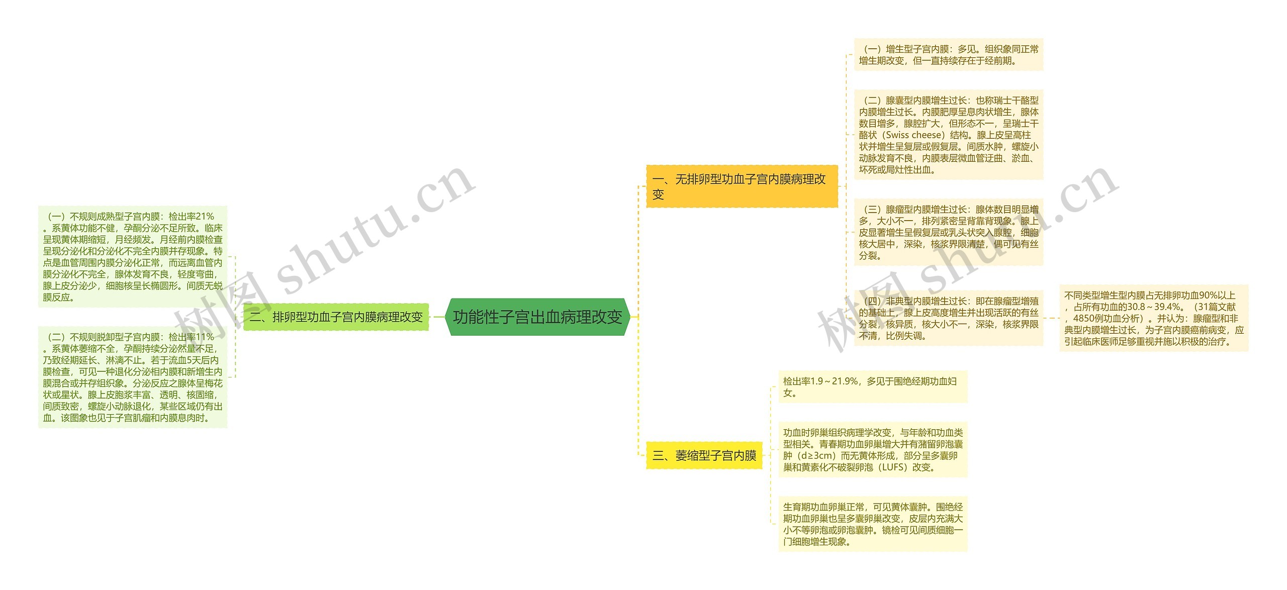 功能性子宫出血病理改变思维导图