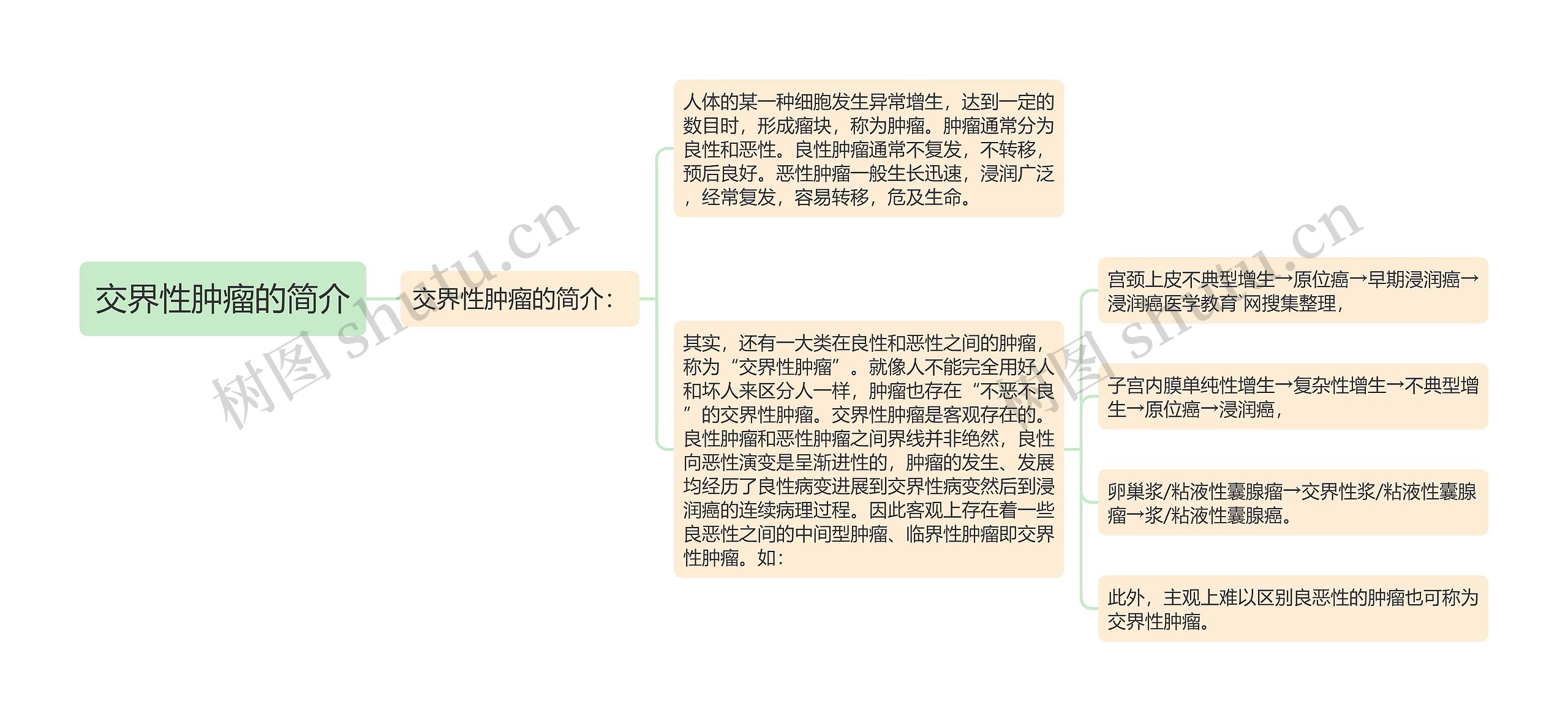 交界性肿瘤的简介思维导图