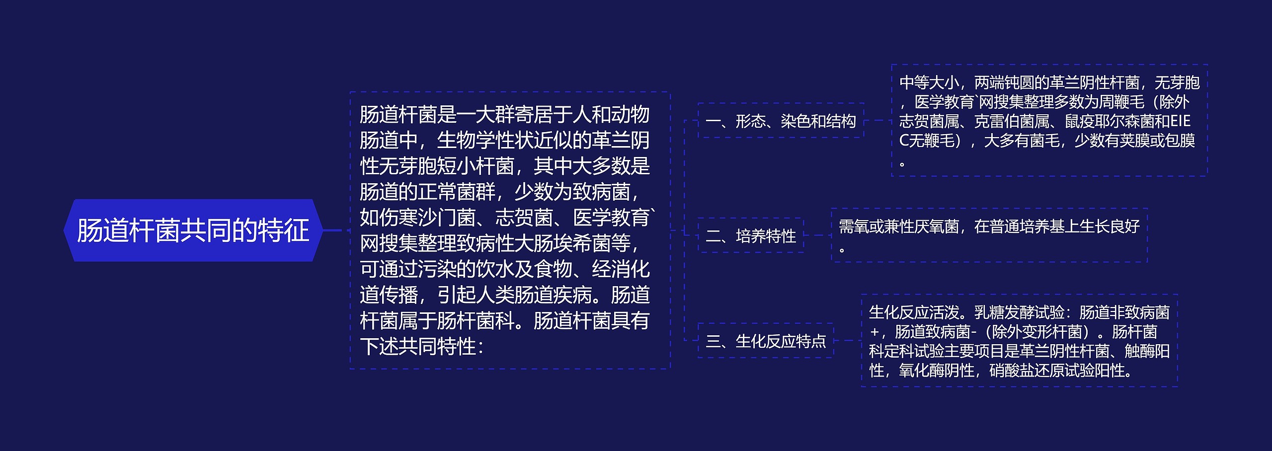 肠道杆菌共同的特征思维导图