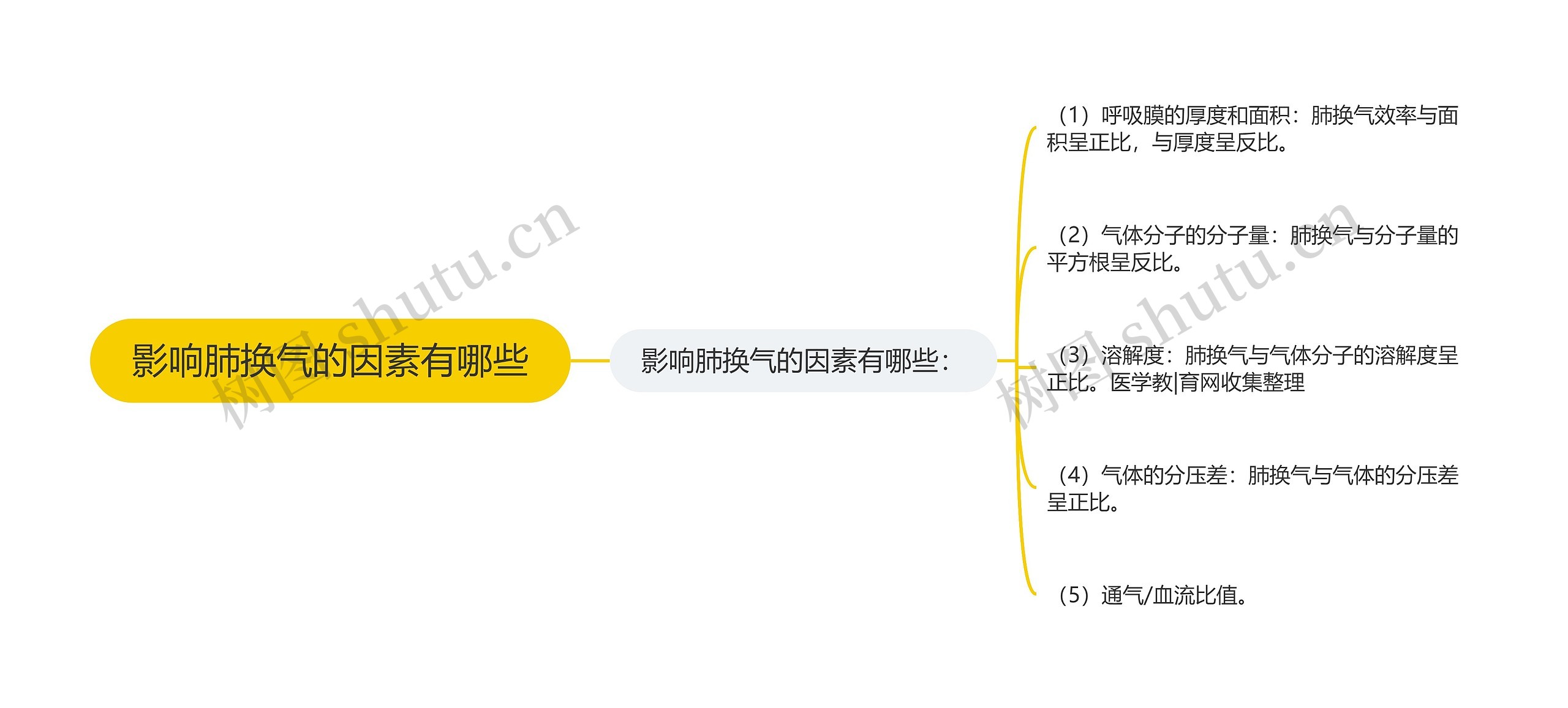 影响肺换气的因素有哪些思维导图