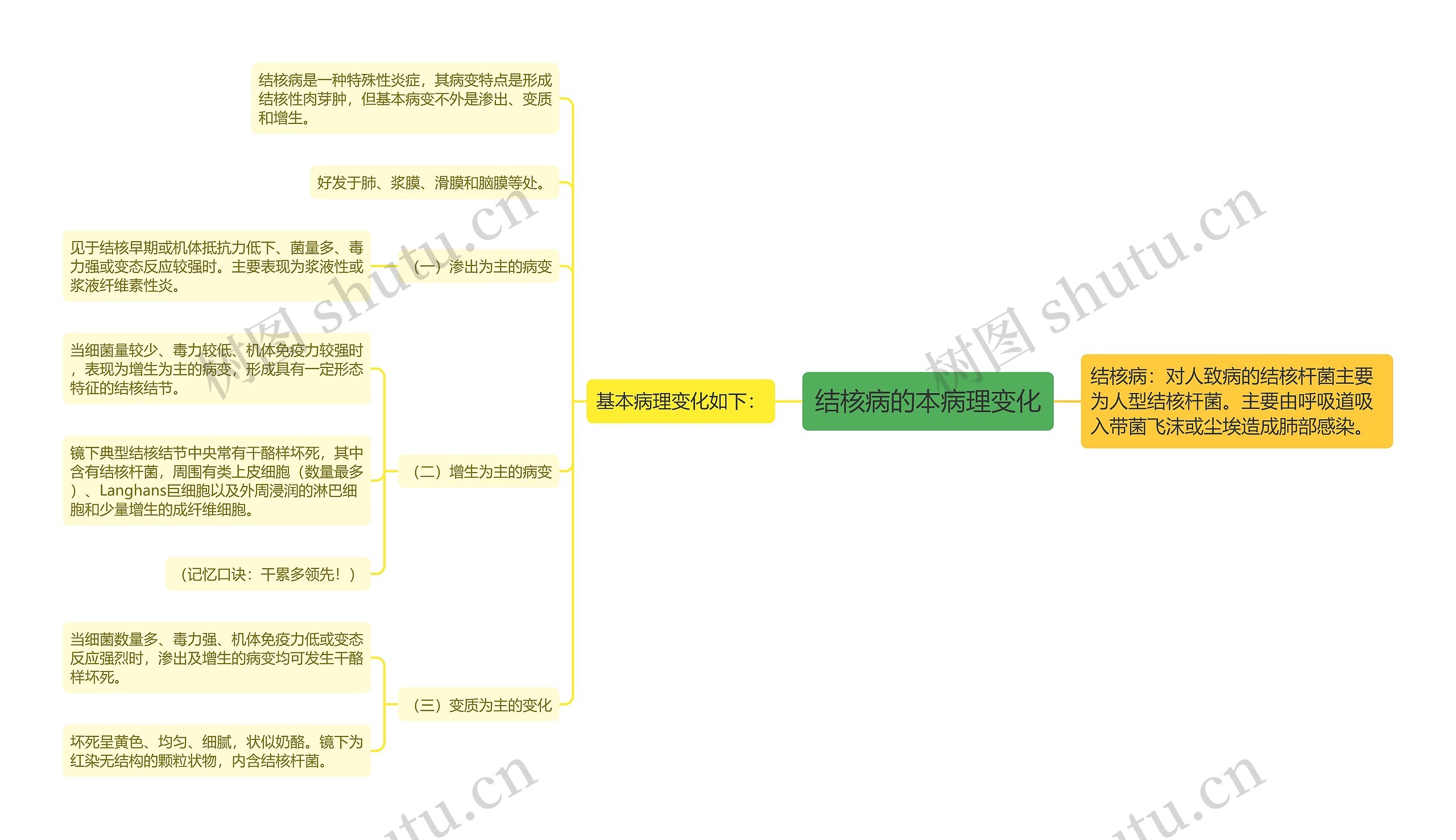 结核病的本病理变化思维导图