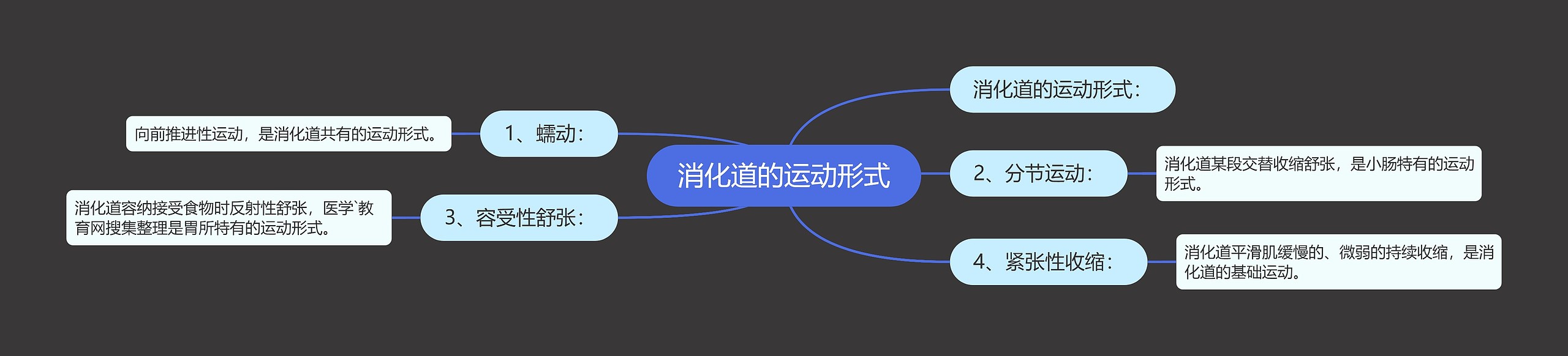 消化道的运动形式 消化道的运动形式
