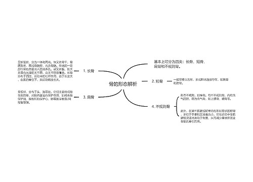 骨的形态解析