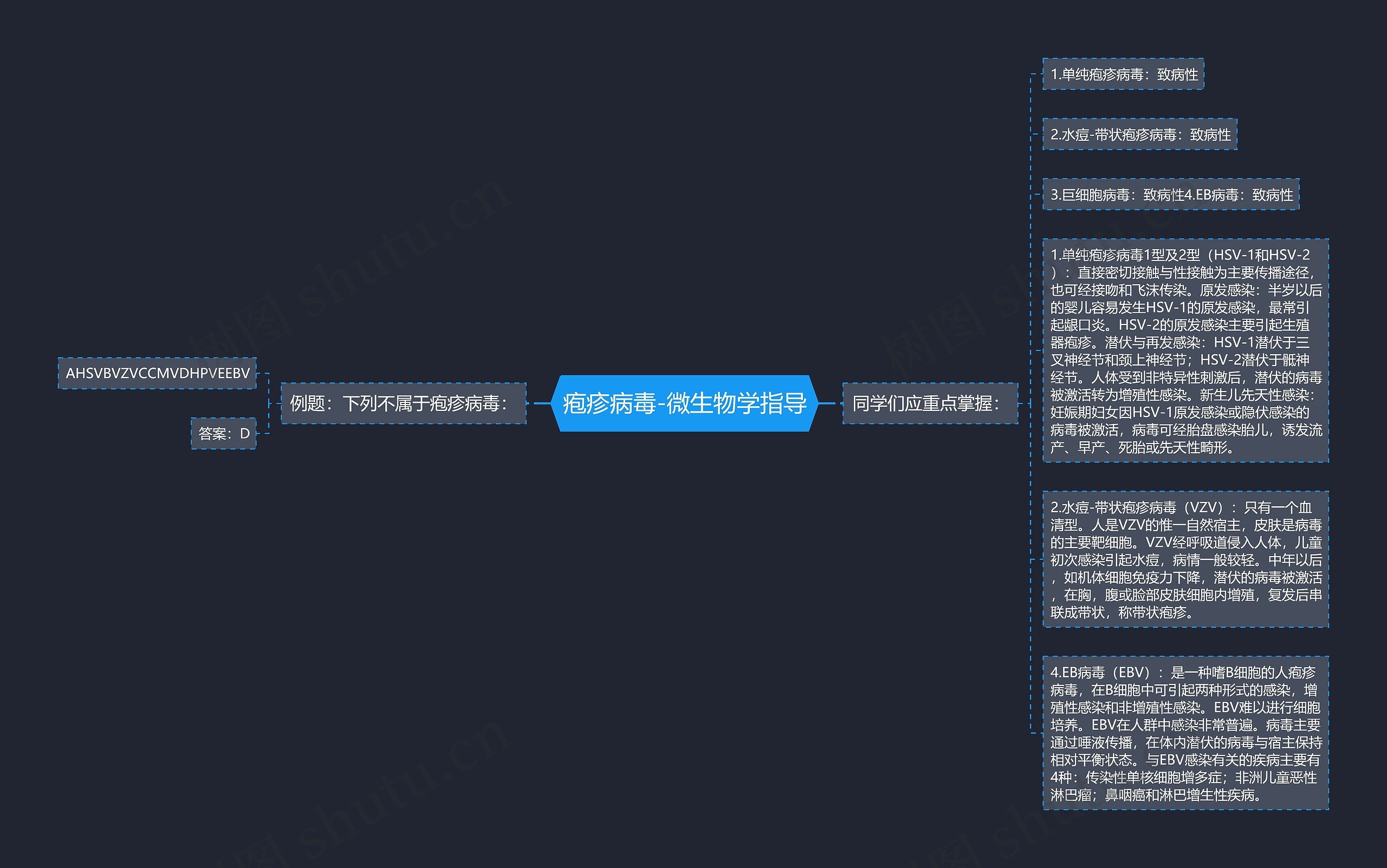 疱疹病毒-微生物学指导思维导图