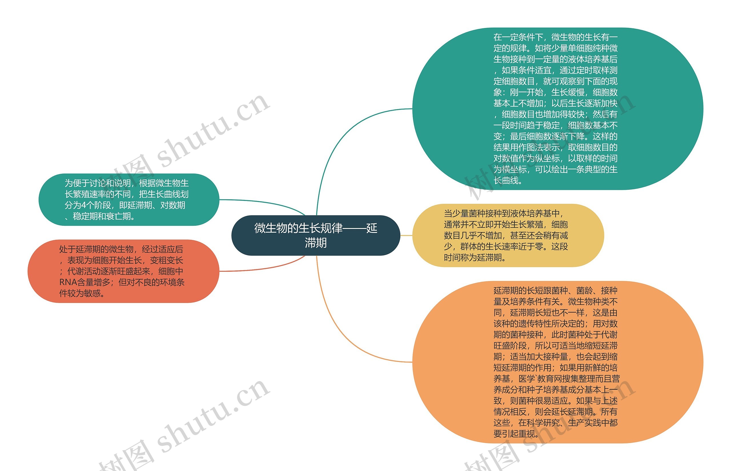 微生物的生长规律——延滞期思维导图