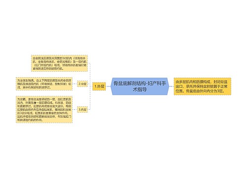 骨盆底解剖结构-妇产科手术指导