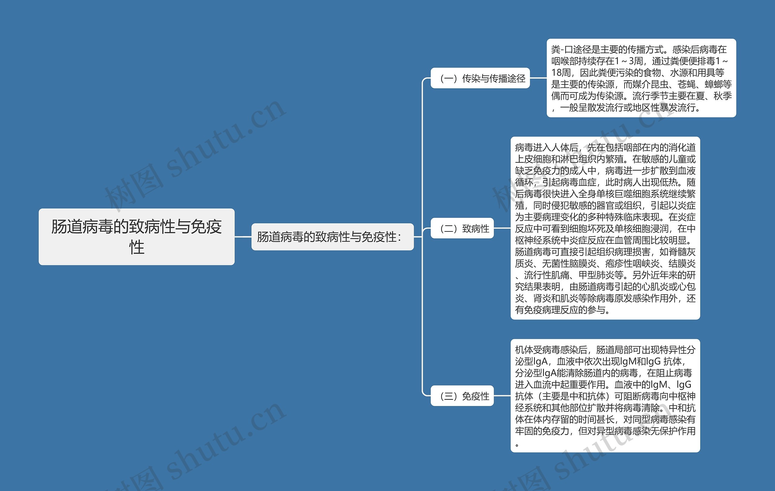 肠道病毒的致病性与免疫性思维导图