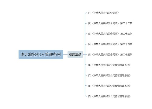 湖北省经纪人管理条例