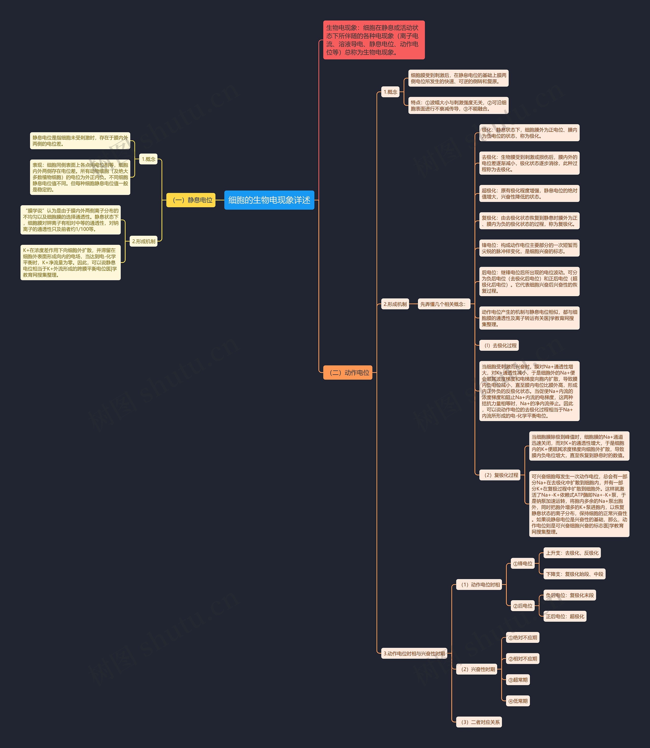 细胞的生物电现象详述思维导图
