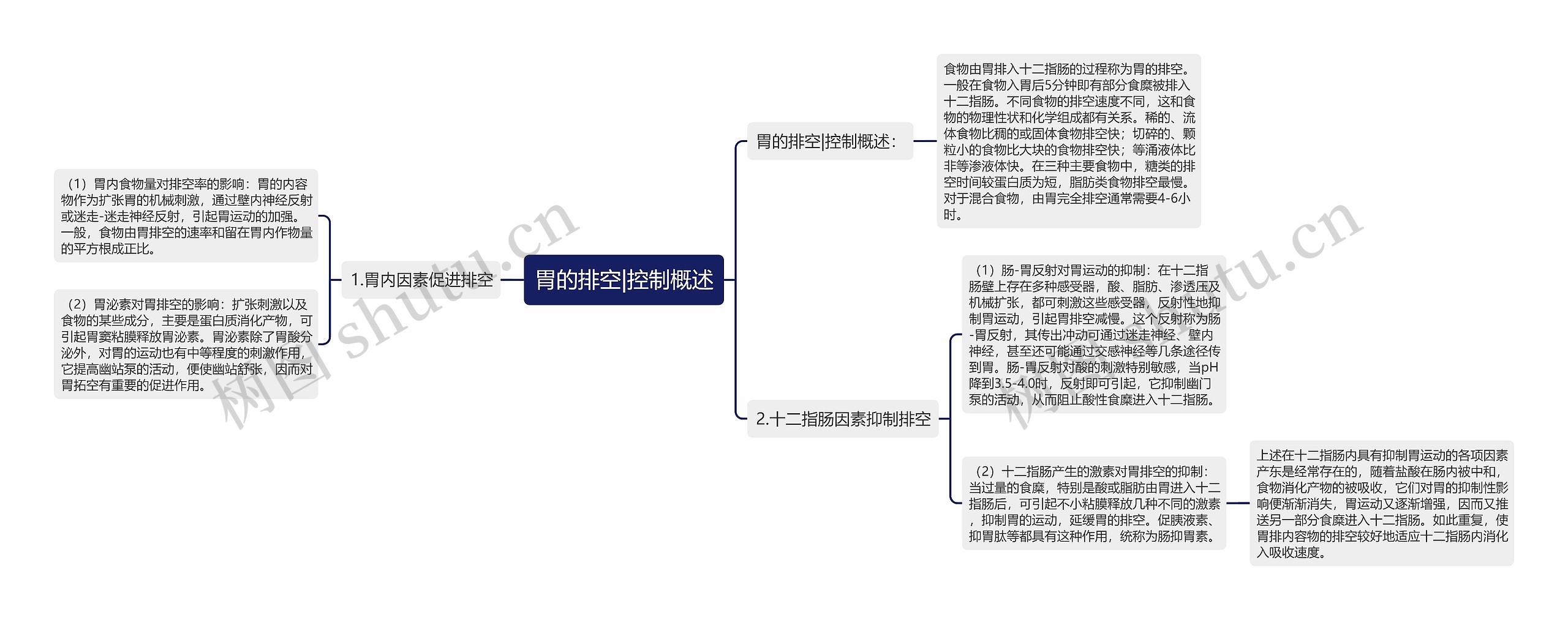 胃的排空|控制概述