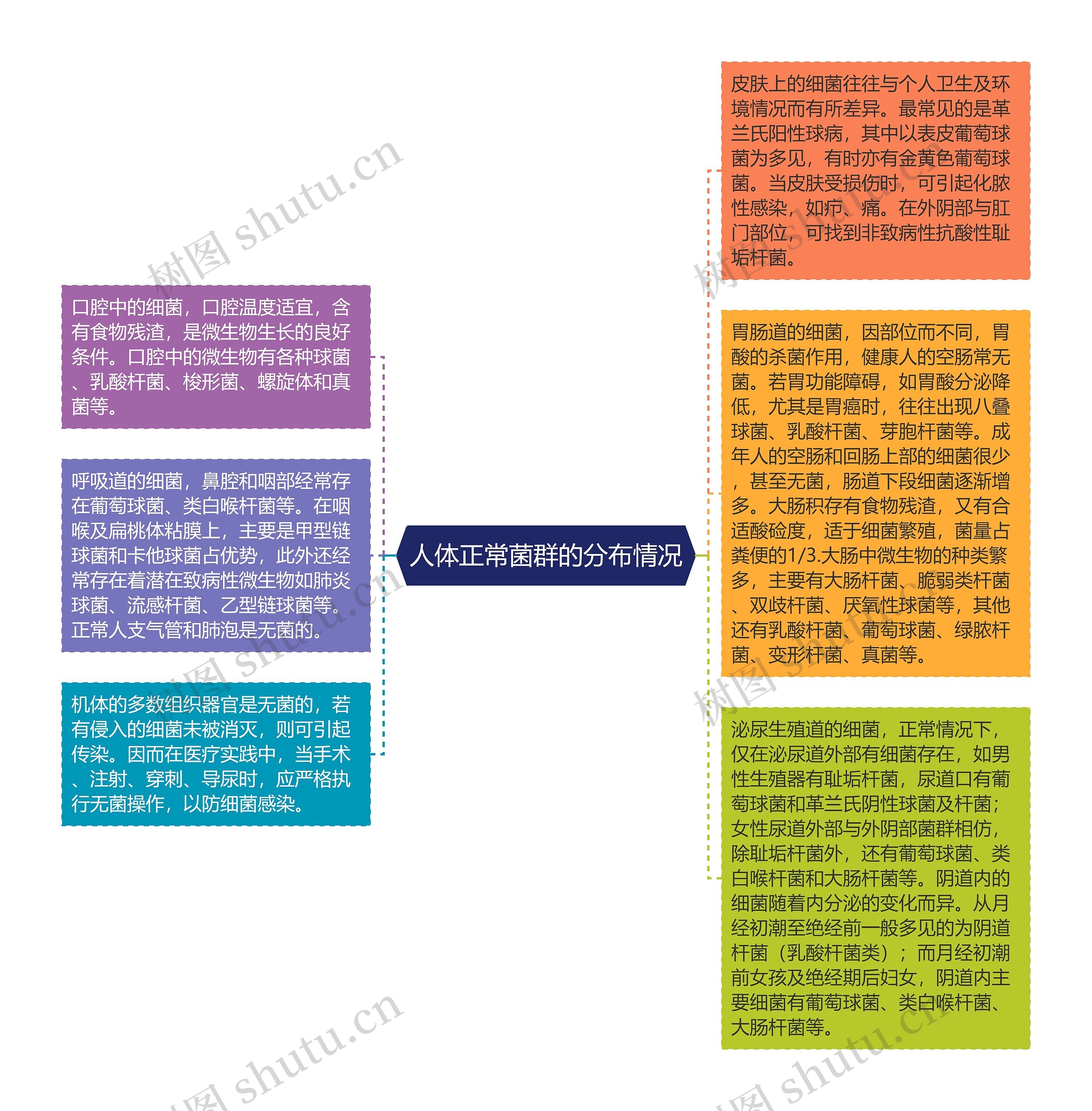 人体正常菌群的分布情况思维导图