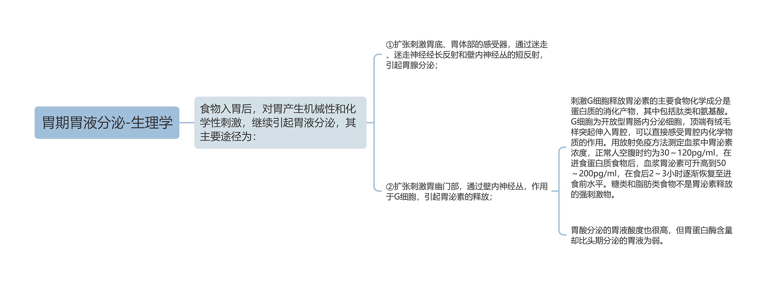 胃期胃液分泌-生理学