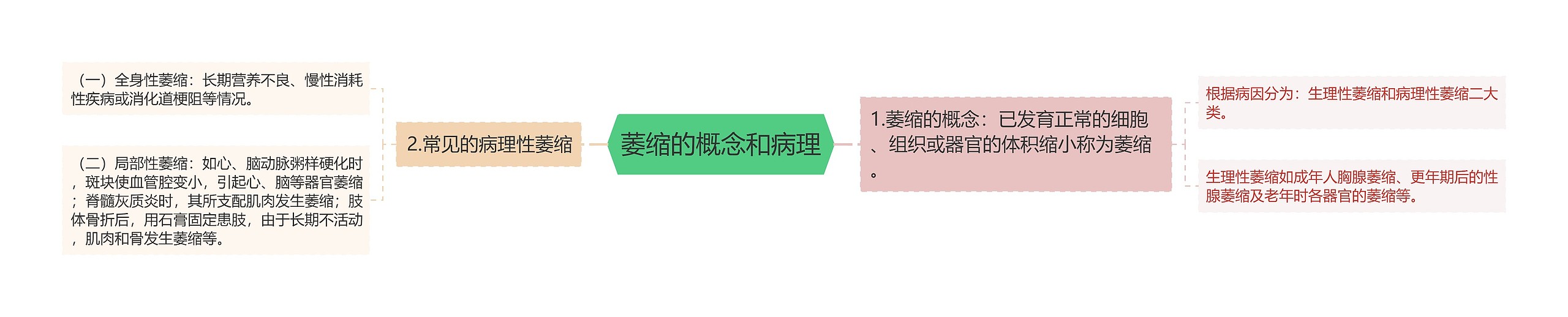 萎缩的概念和病理 萎缩的概念和病理
