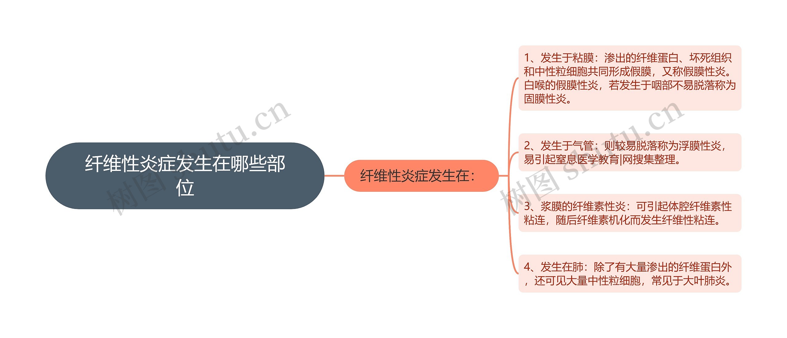 纤维性炎症发生在哪些部位思维导图