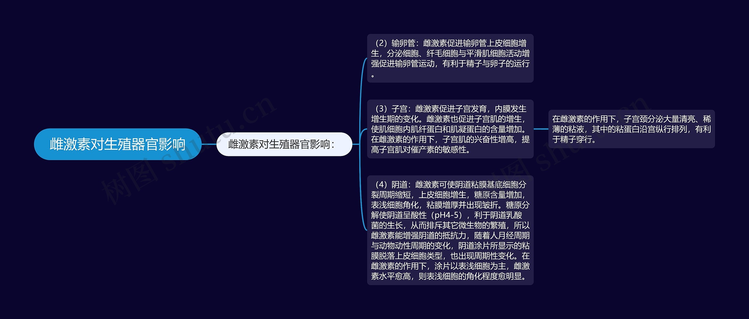 雌激素对生殖器官影响 雌激素对生殖器官影响