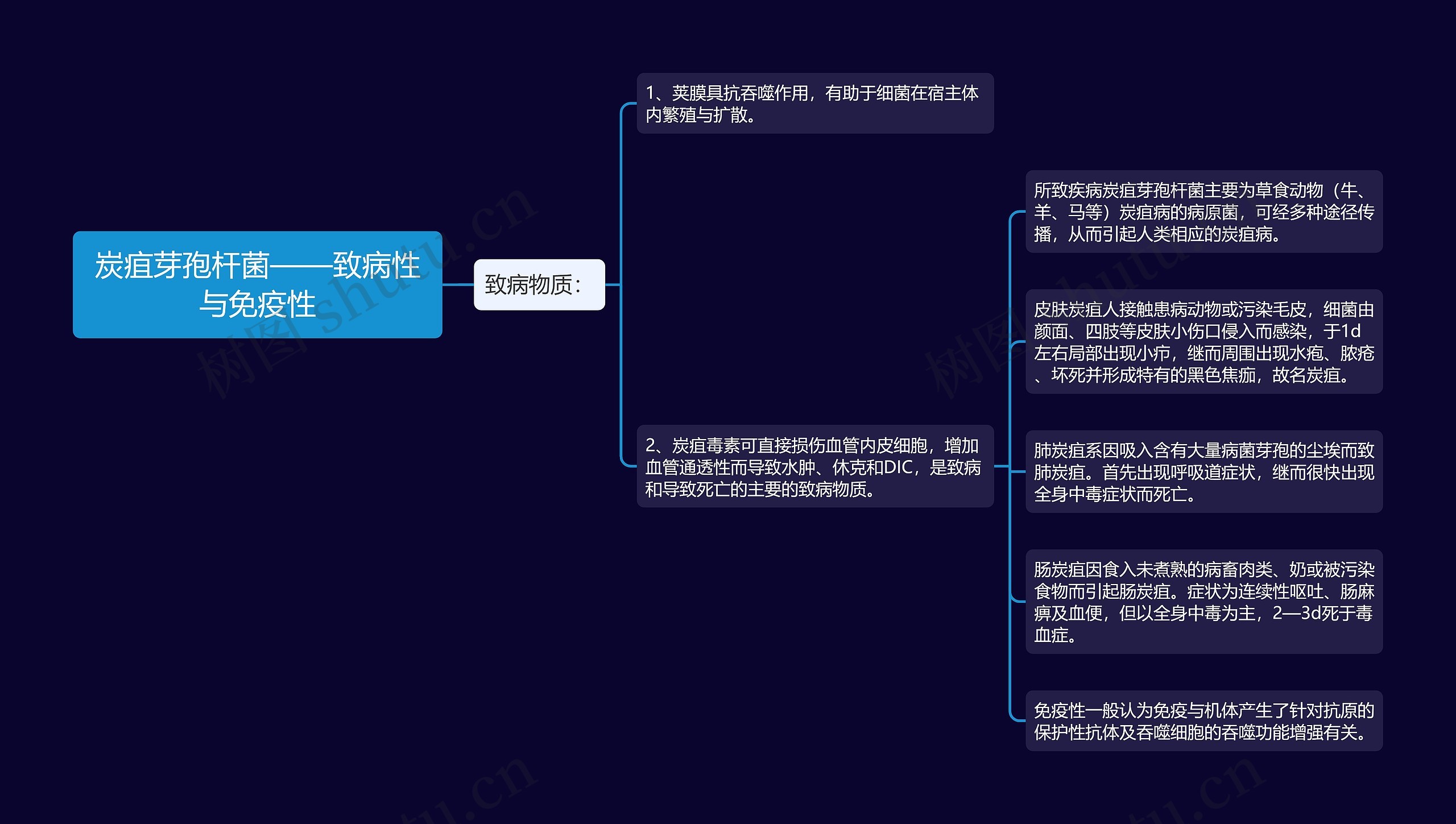炭疽芽孢杆菌——致病性与免疫性 炭疽芽孢杆菌——致病性与免疫性