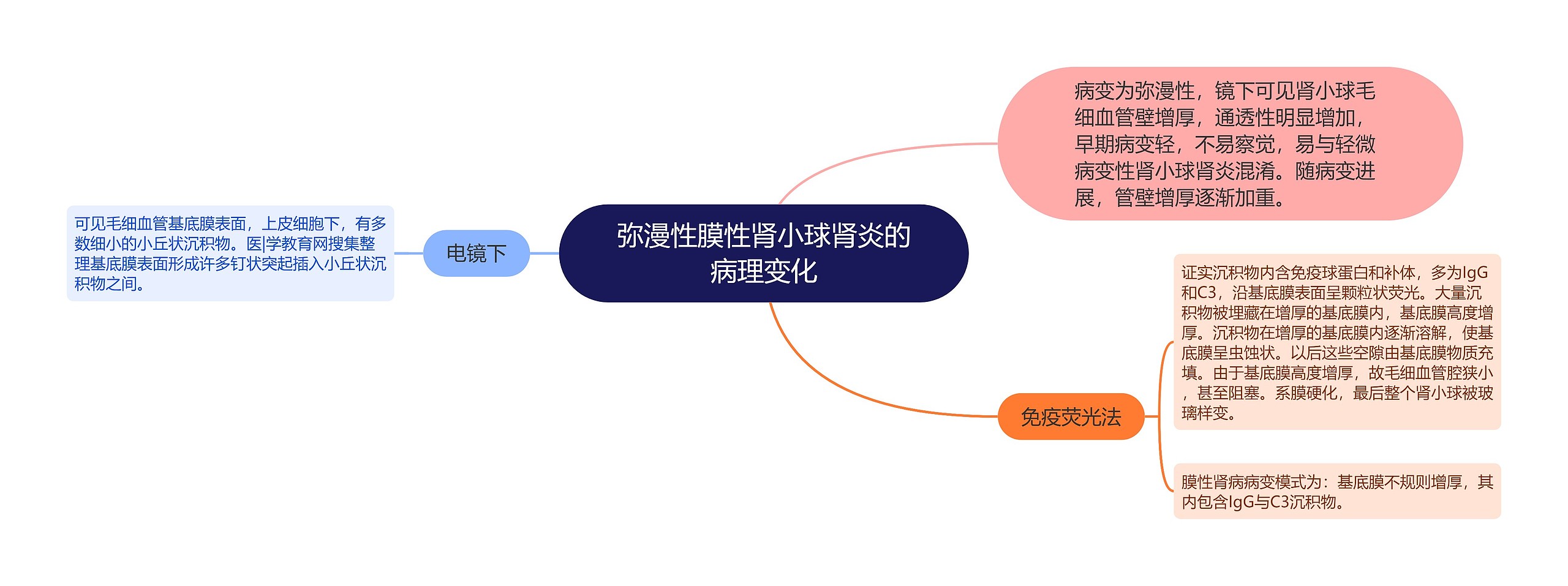 弥漫性膜性肾小球肾炎的病理变化思维导图