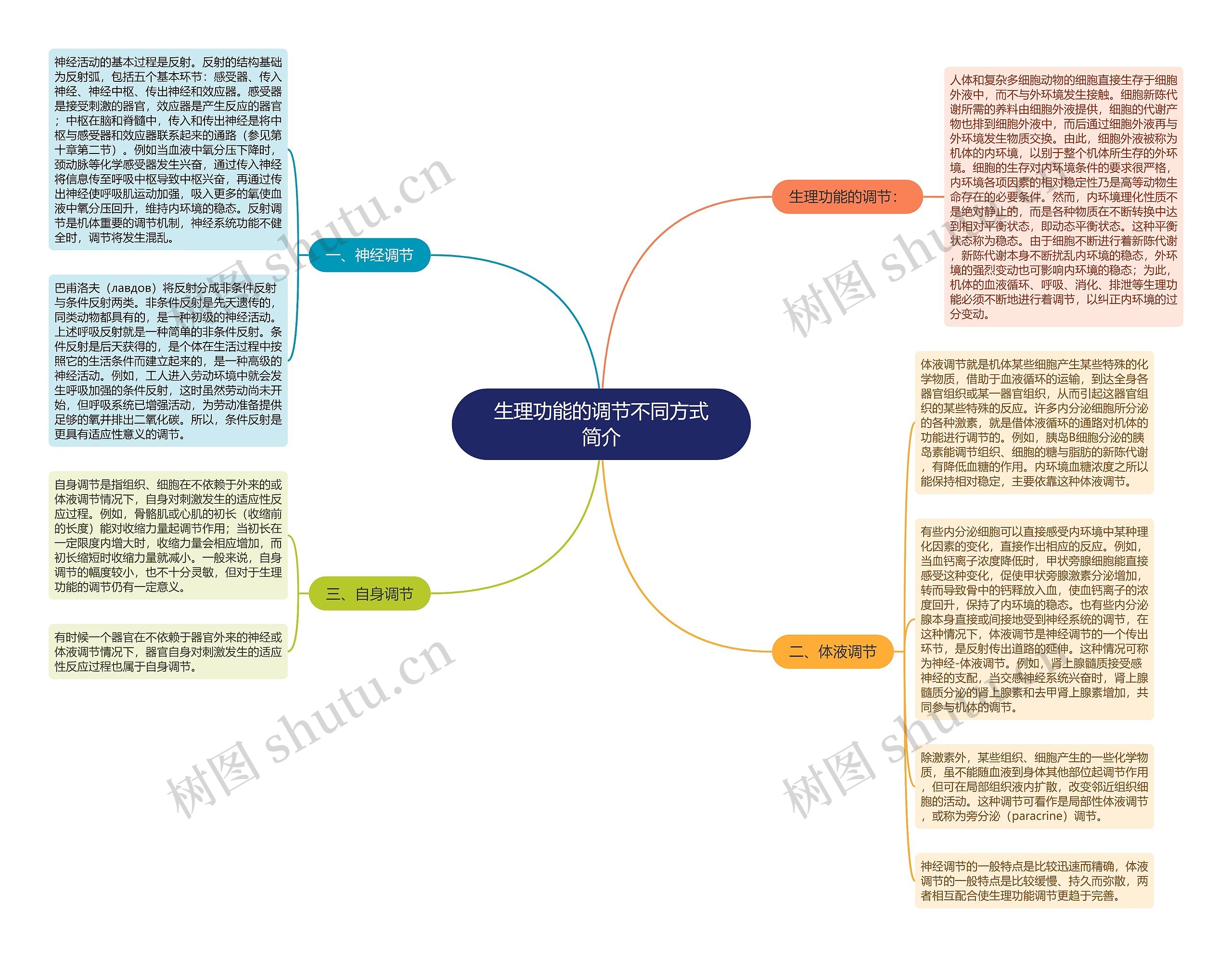 生理功能的调节不同方式简介思维导图