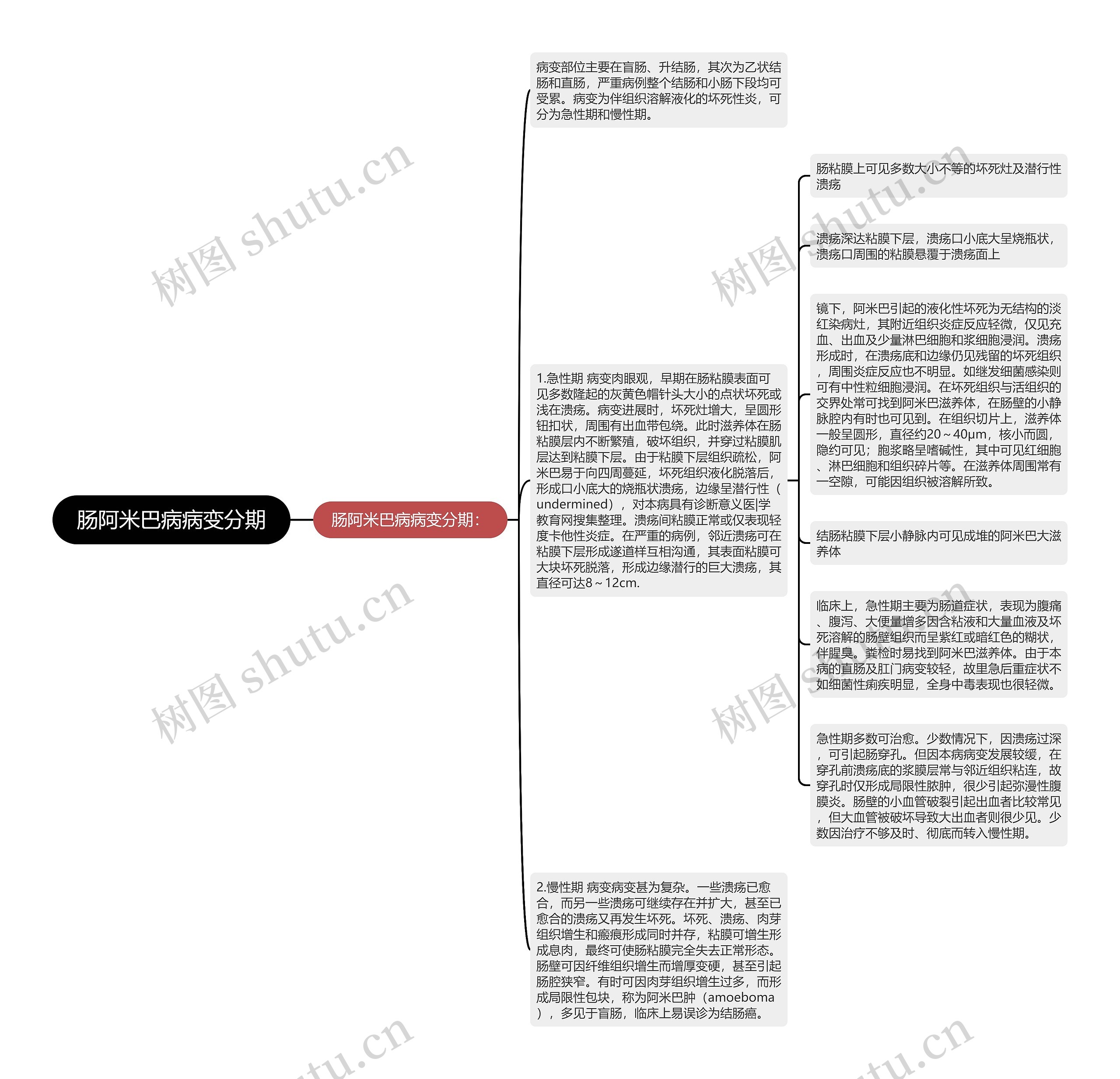 肠阿米巴病病变分期思维导图