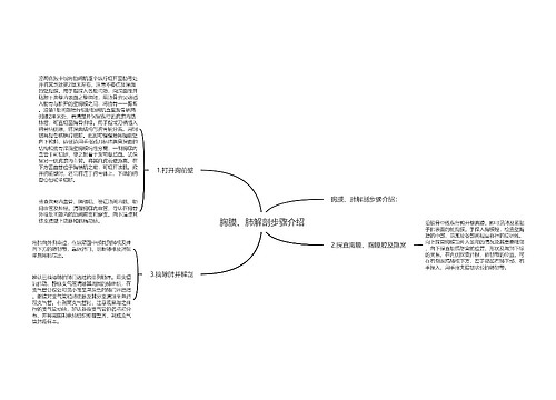 胸膜、肺解剖步骤介绍