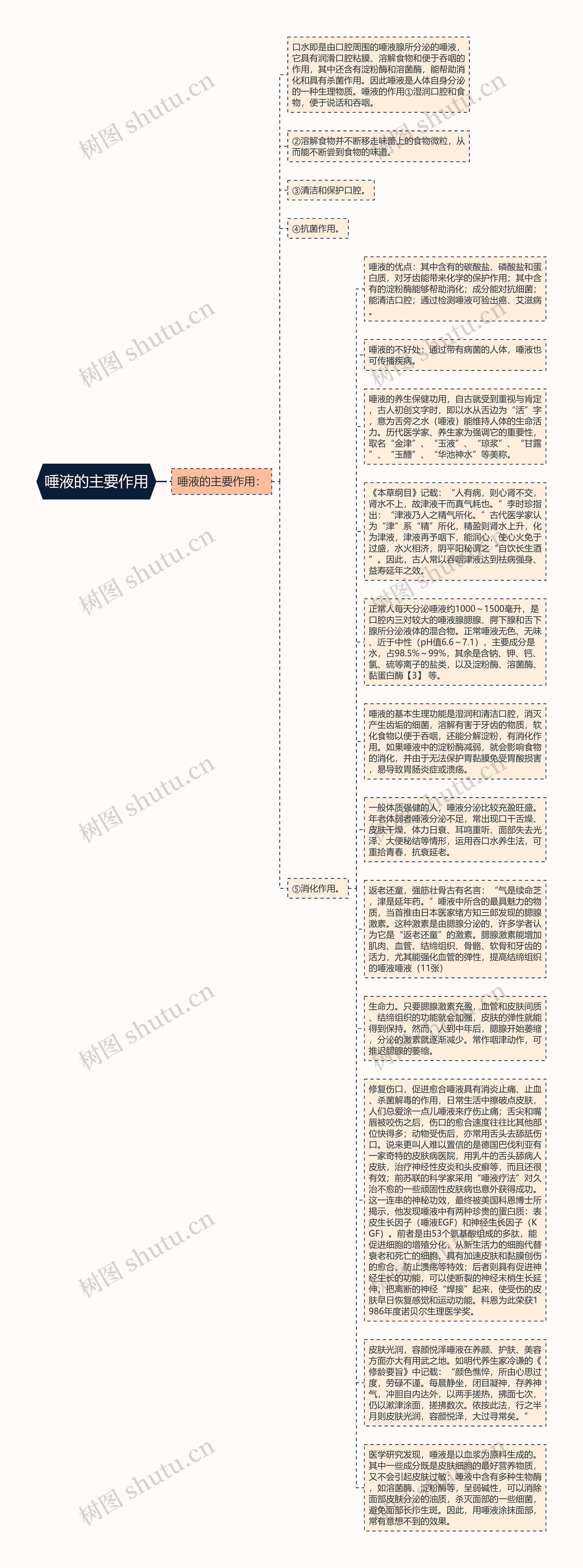 唾液的主要作用思维导图