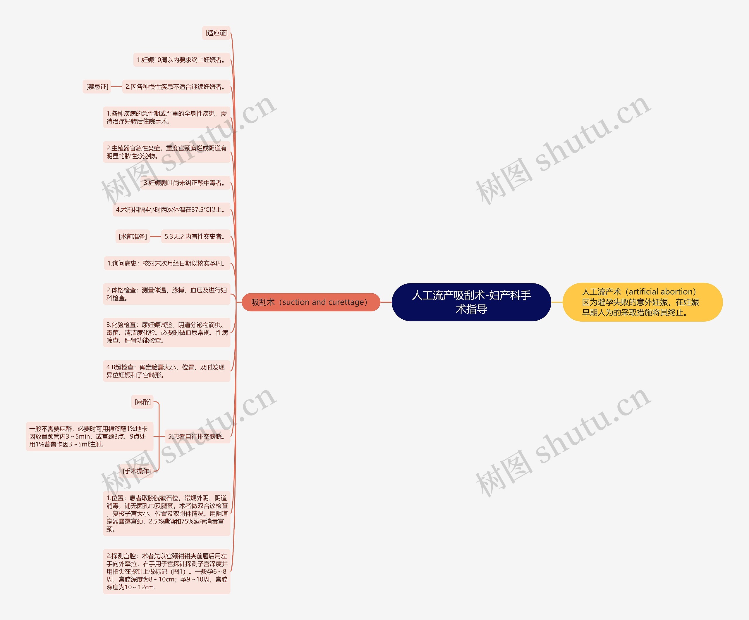 人工流产吸刮术-妇产科手术指导 人工流产吸刮术-妇产科手术指导