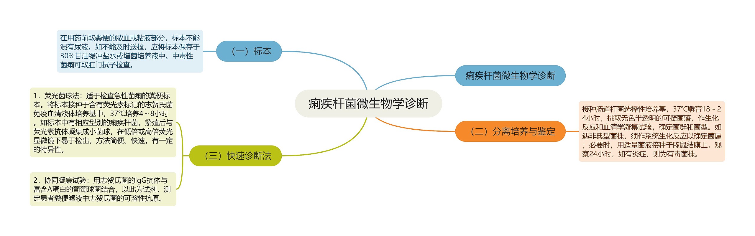 痢疾杆菌微生物学诊断思维导图