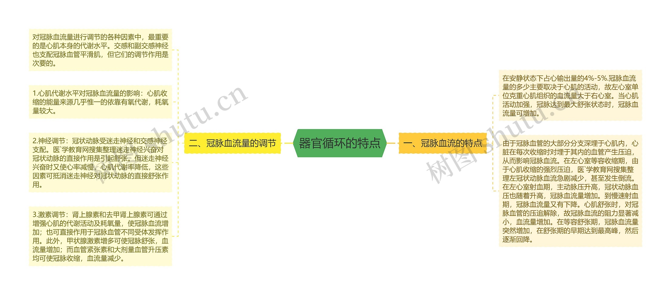 器官循环的特点思维导图