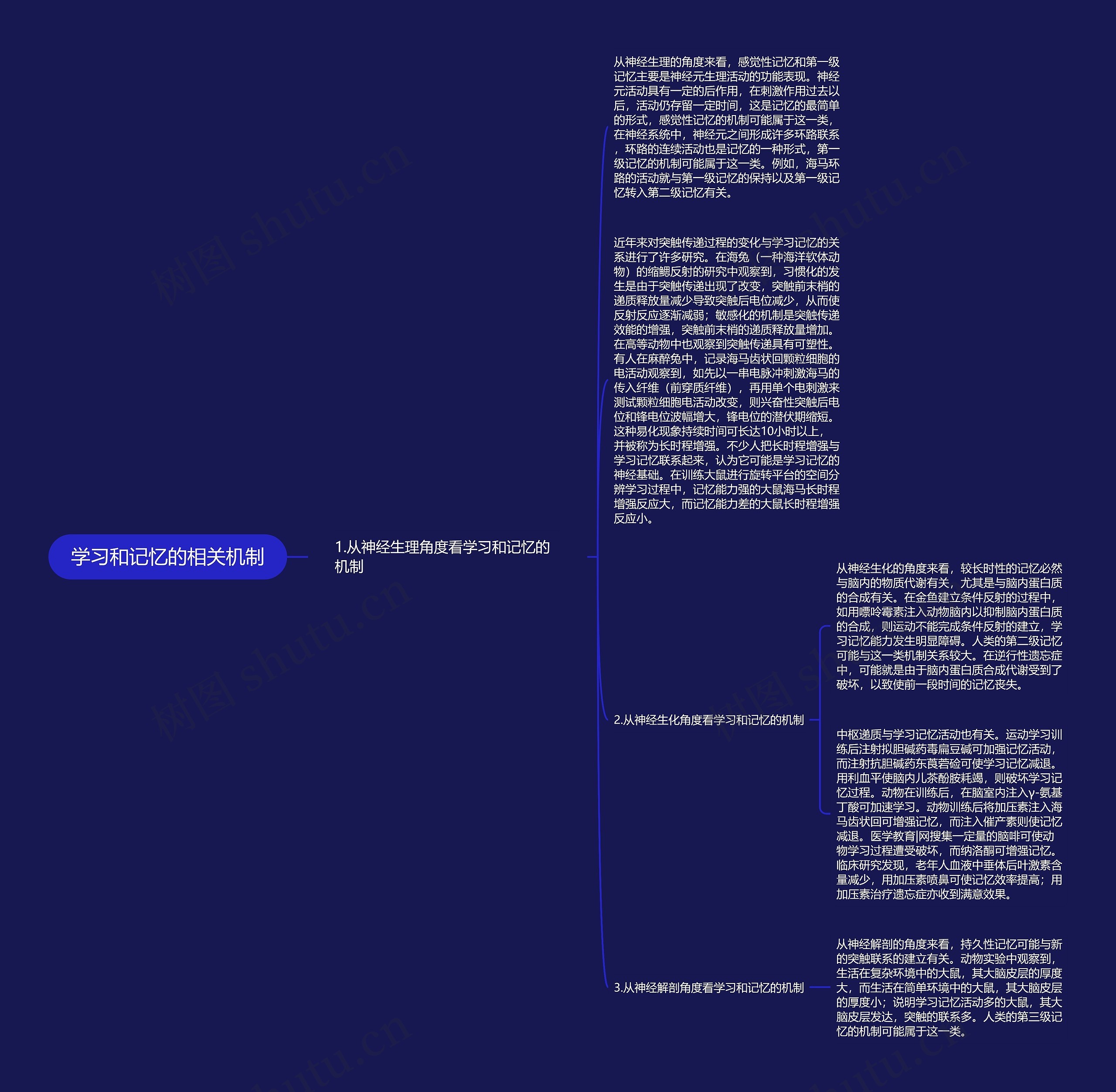 学习和记忆的相关机制思维导图