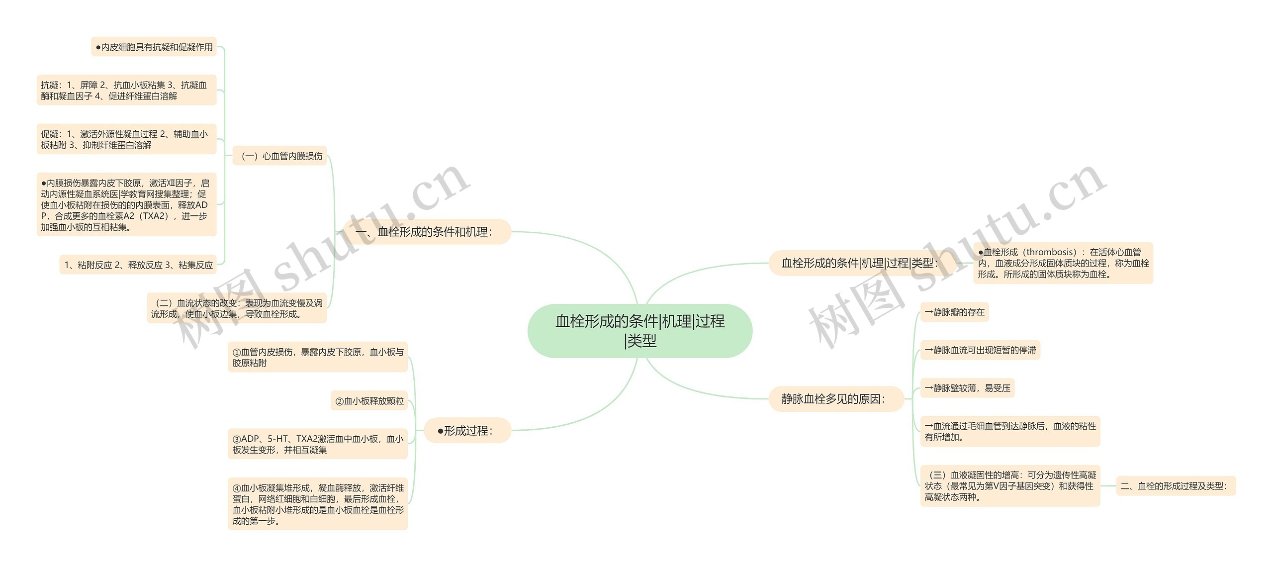 血栓形成的条件|机理|过程|类型思维导图