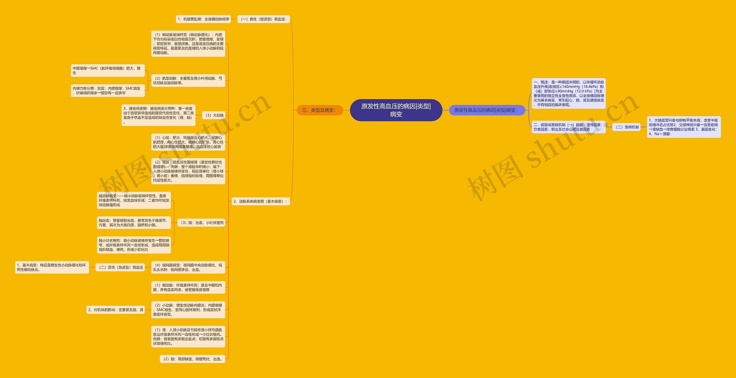 原发性高血压的病因|类型|病变