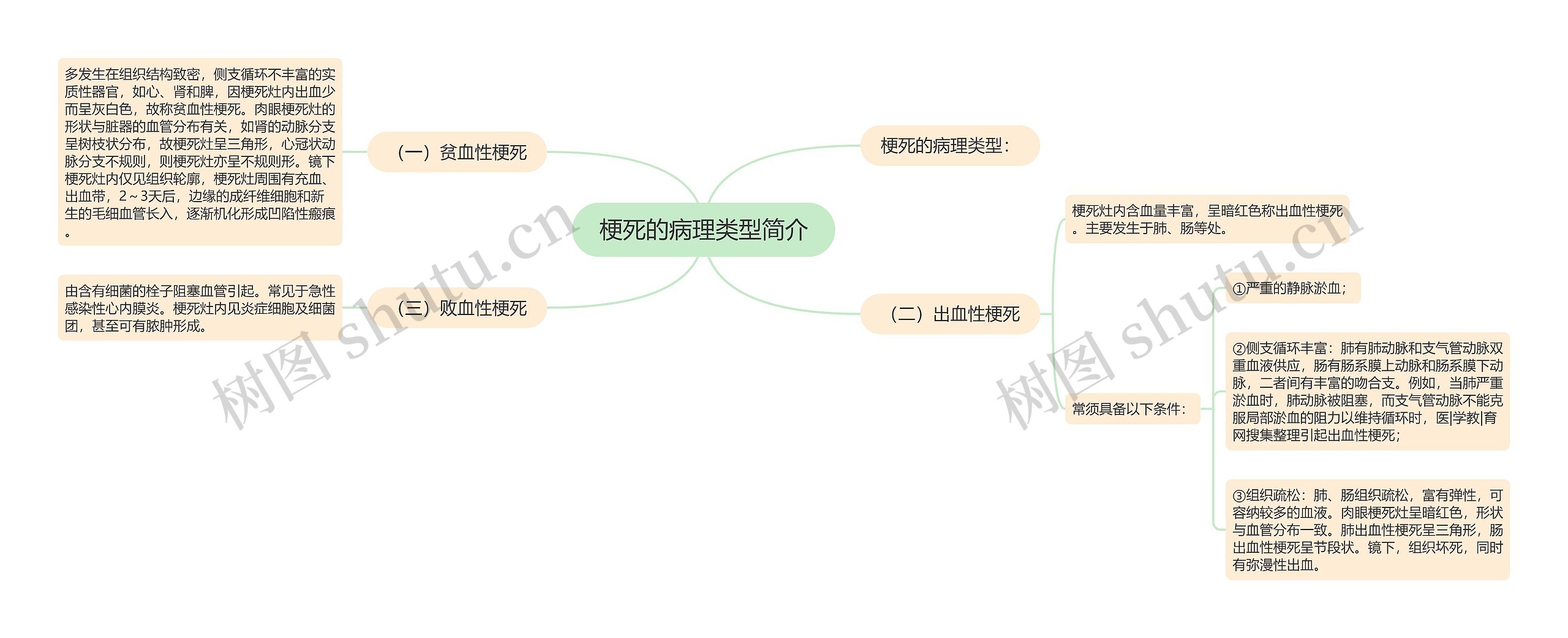 梗死的病理类型简介思维导图