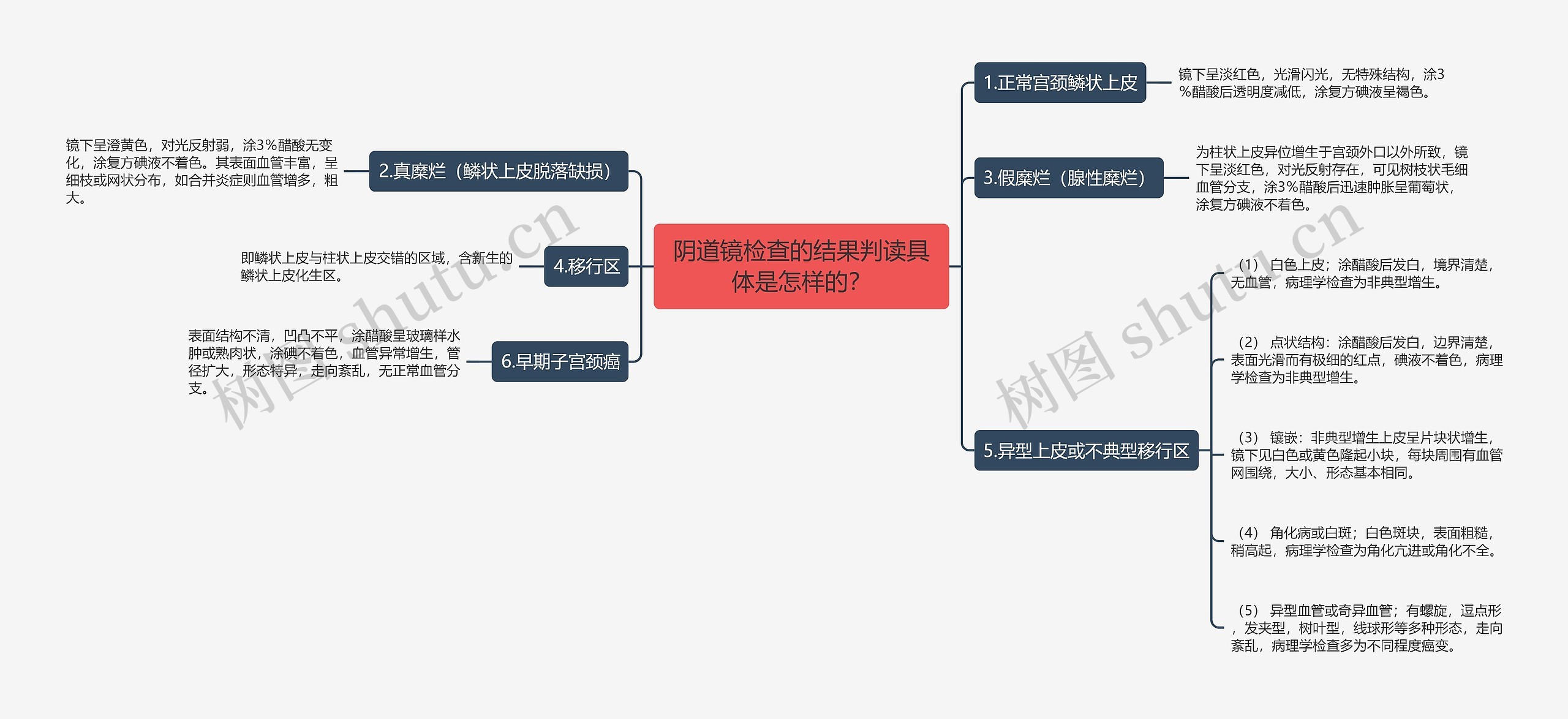 阴道镜检查的结果判读具体是怎样的？思维导图