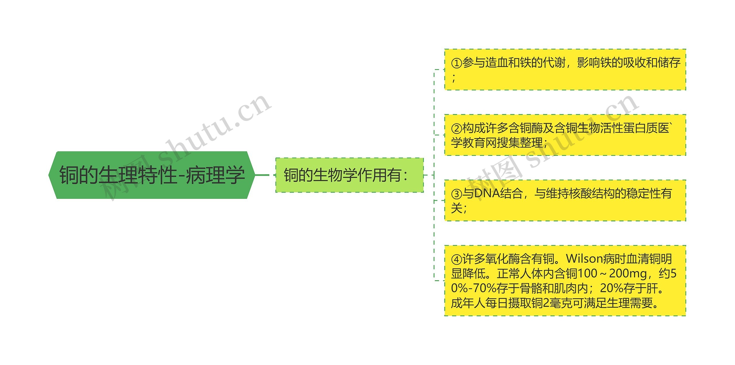 铜的生理特性-病理学思维导图