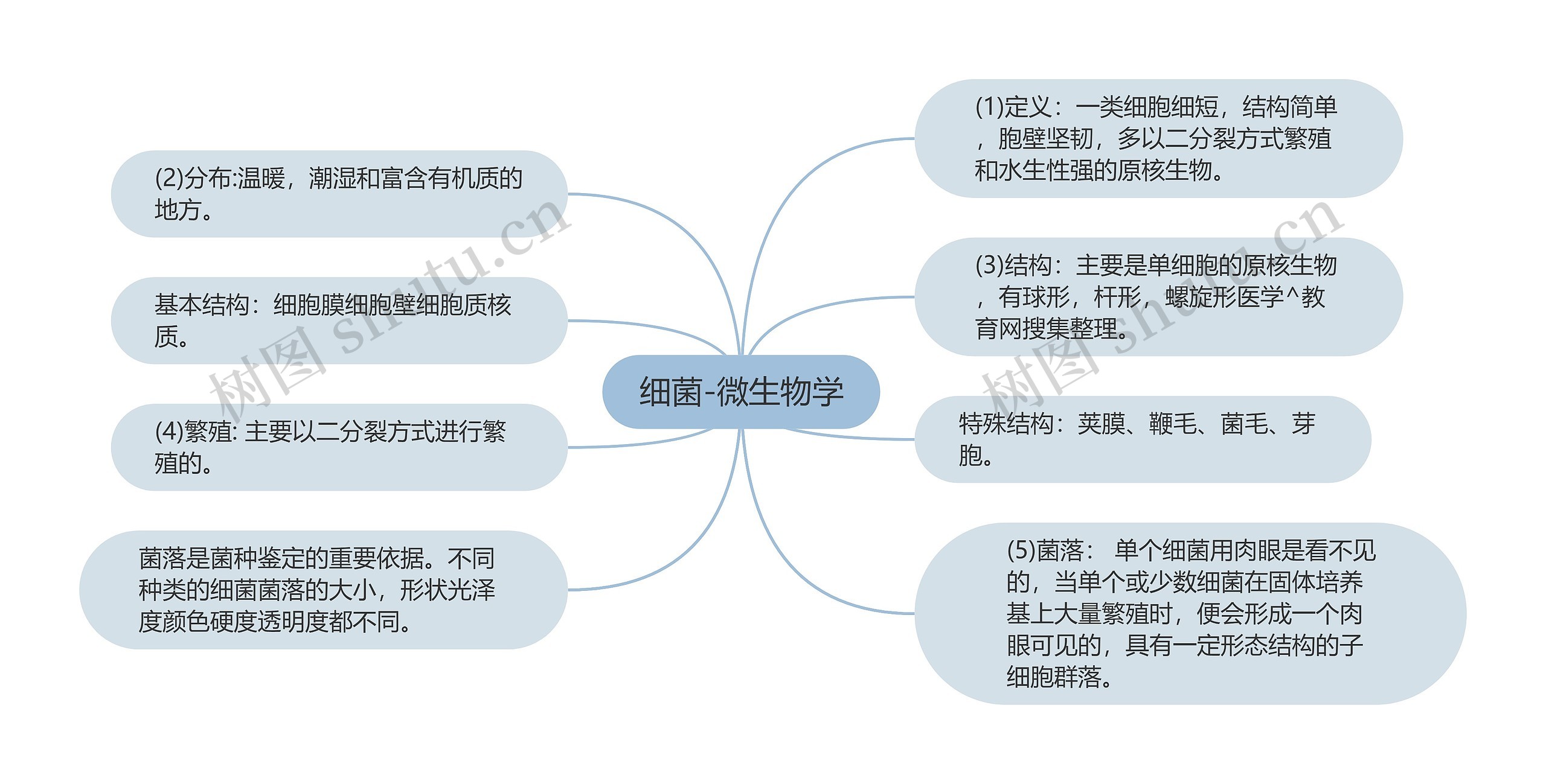 细菌-微生物学 细菌-微生物学