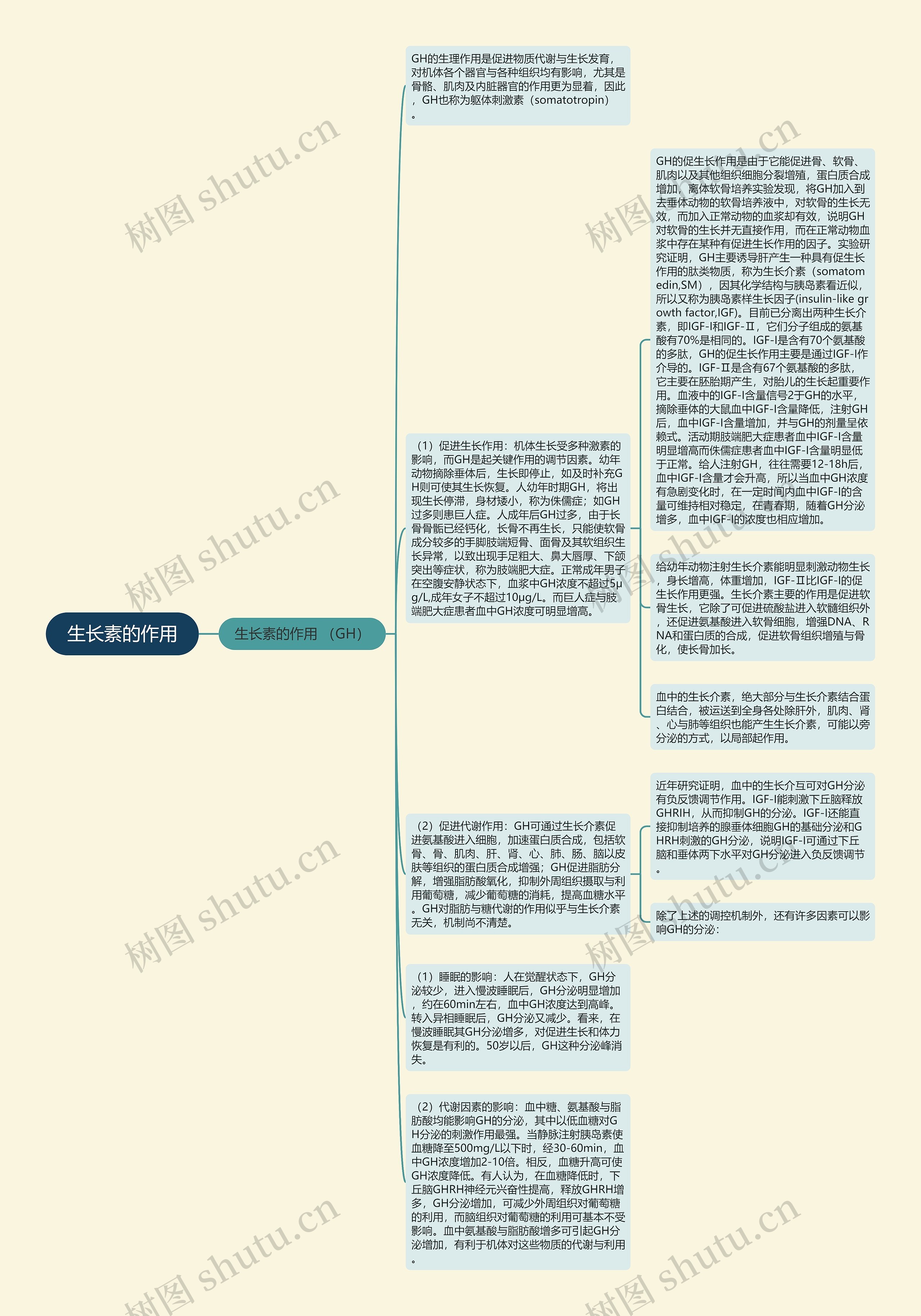 生长素的作用思维导图