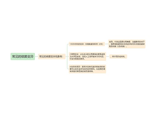 常见的细菌变异