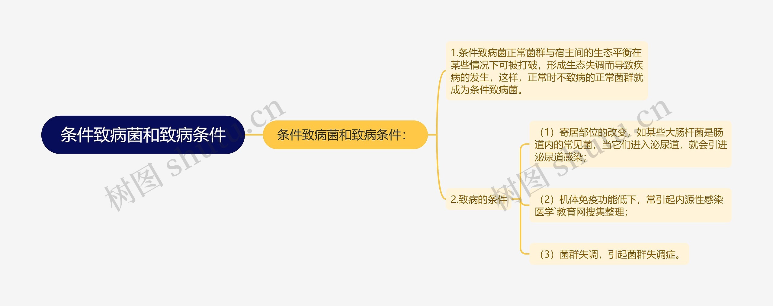 条件致病菌和致病条件