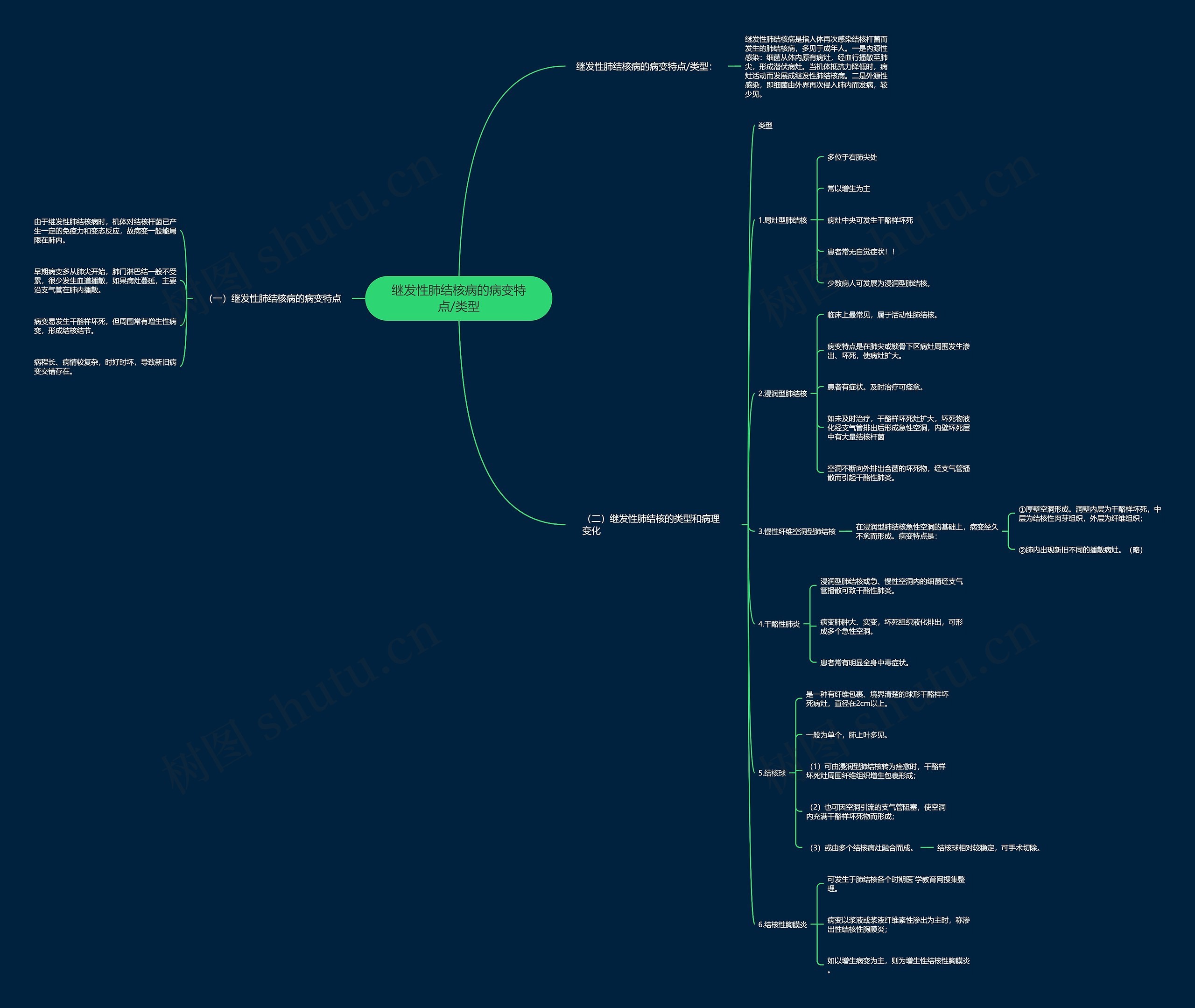 继发性肺结核病的病变特点/类型 继发性肺结核病的病变特点/类型