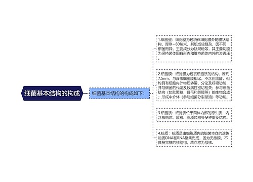 细菌基本结构的构成