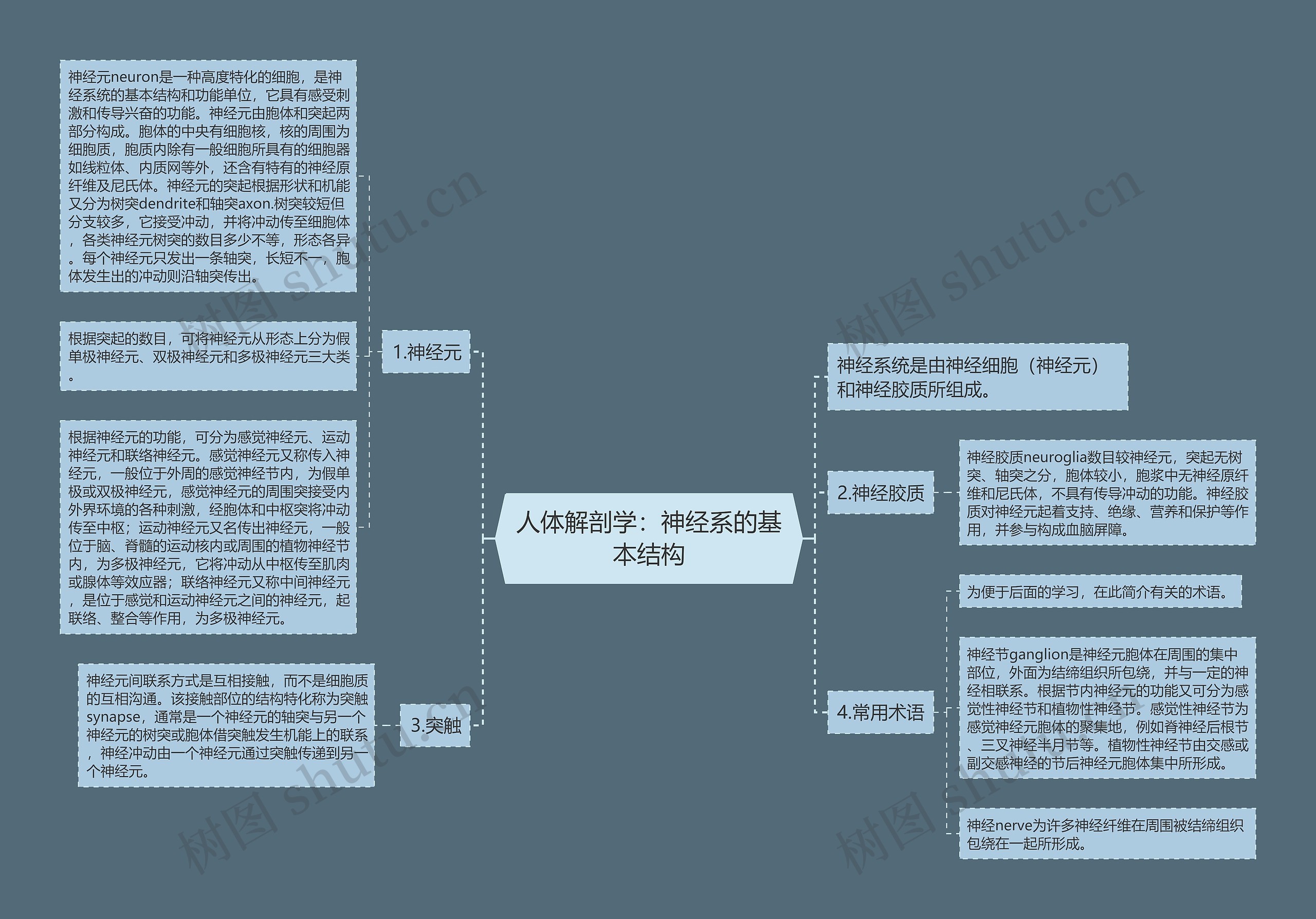 人体解剖学：神经系的基本结构思维导图